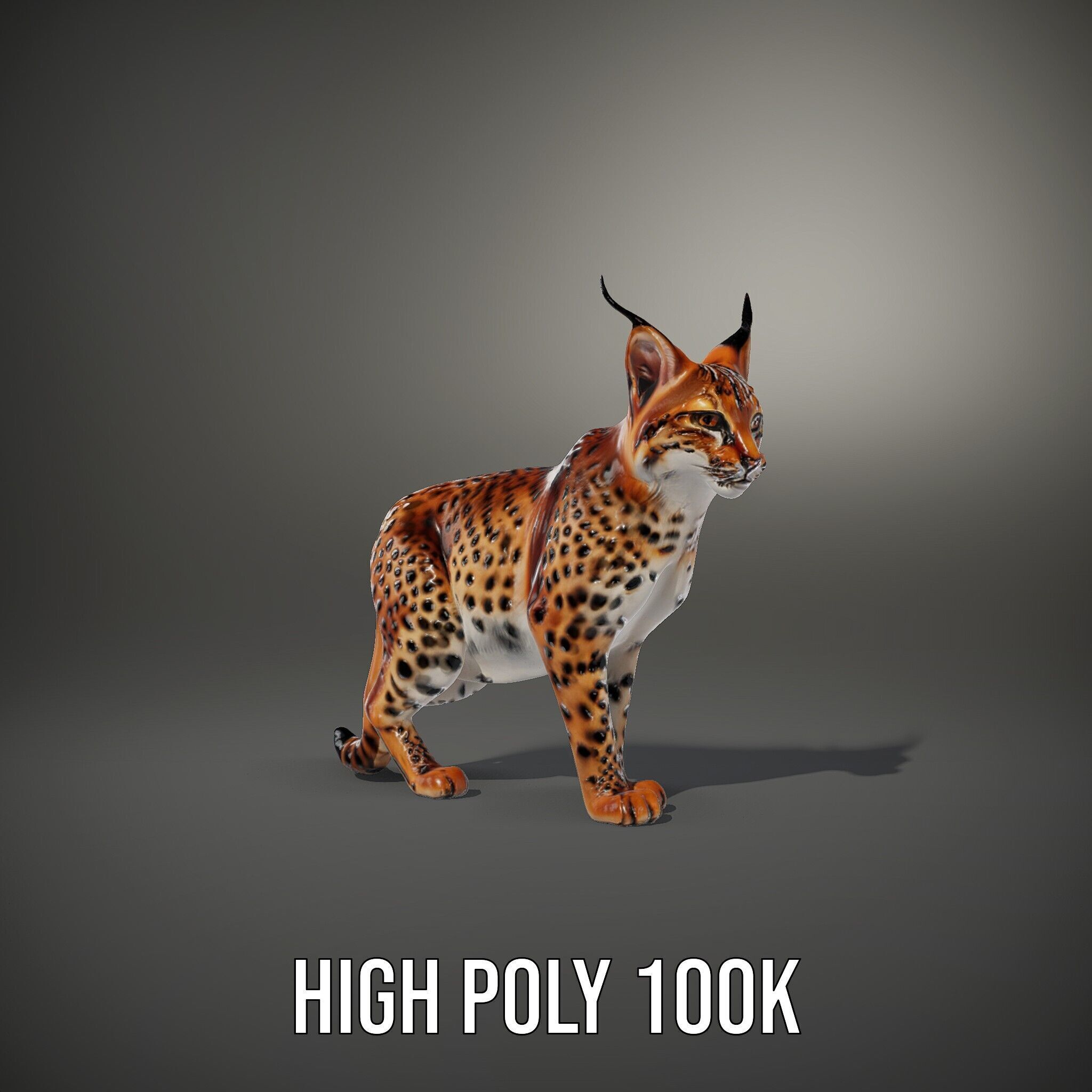 Realistic Lynx Model Pack with Detailed Fur Low-poly 3D model_11