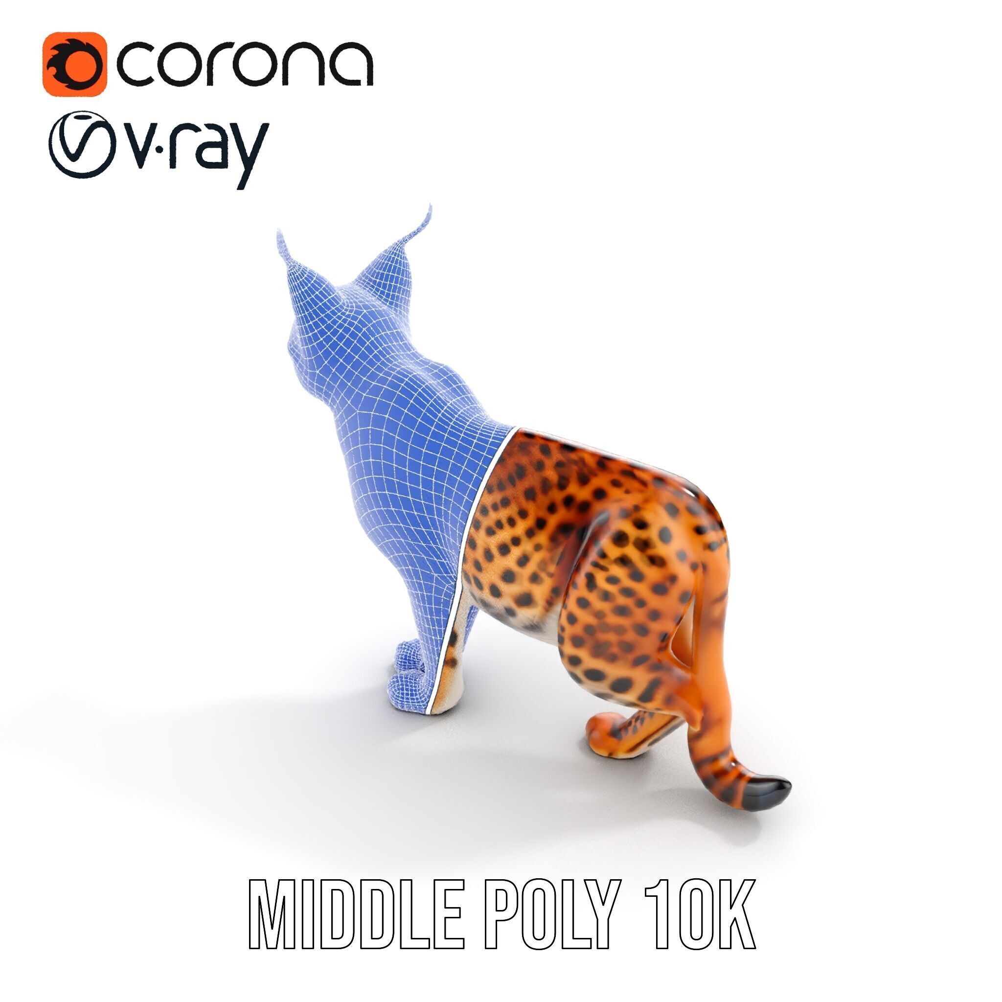 Realistic Lynx Model Pack with Detailed Fur Low-poly 3D model_25