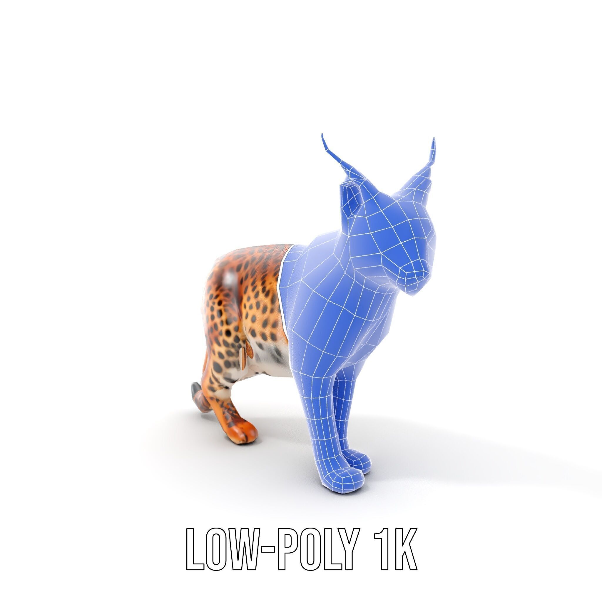 Realistic Lynx Model Pack with Detailed Fur Low-poly 3D model_26