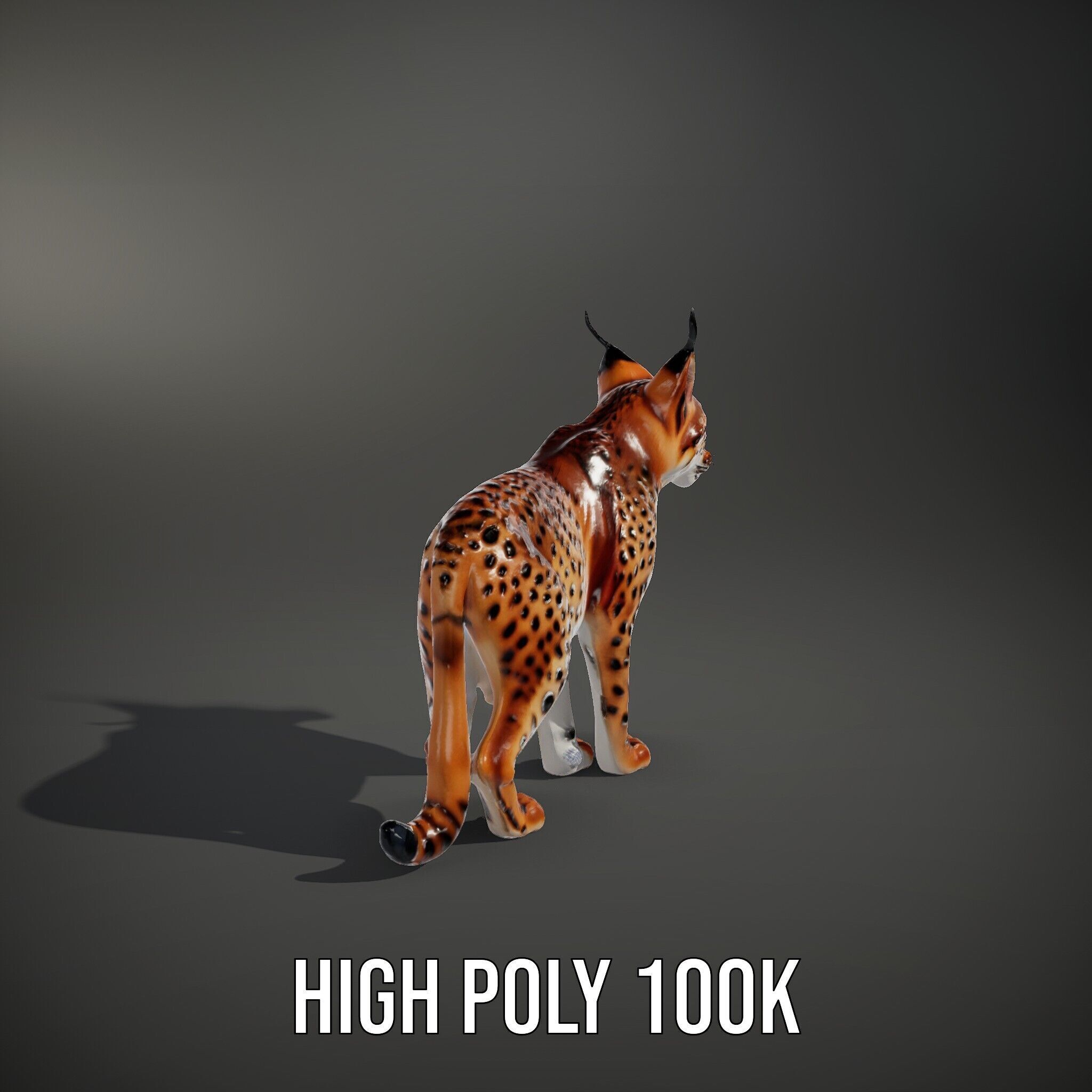 Realistic Lynx Model Pack with Detailed Fur Low-poly 3D model_14
