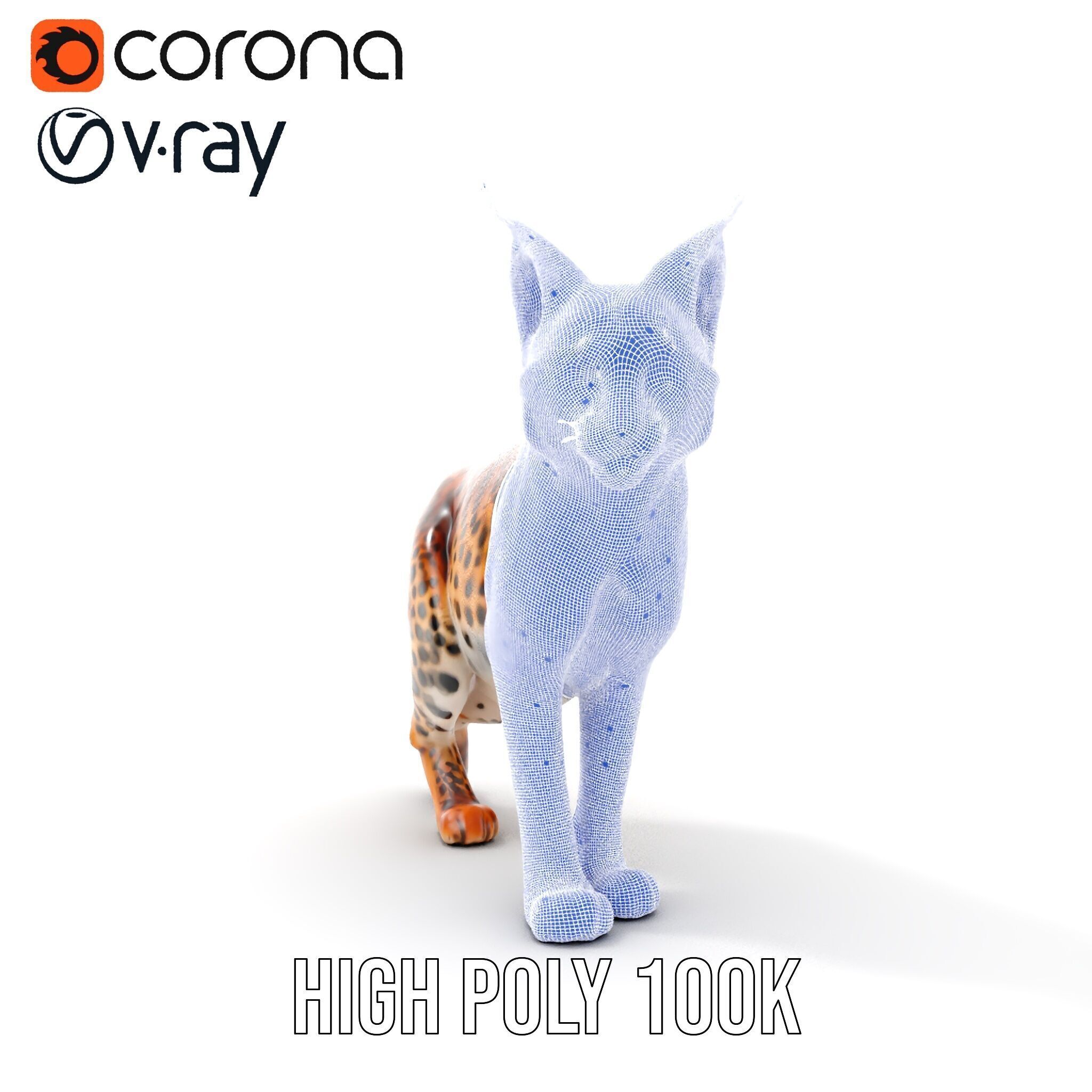 Realistic Lynx Model Pack with Detailed Fur Low-poly 3D model_36