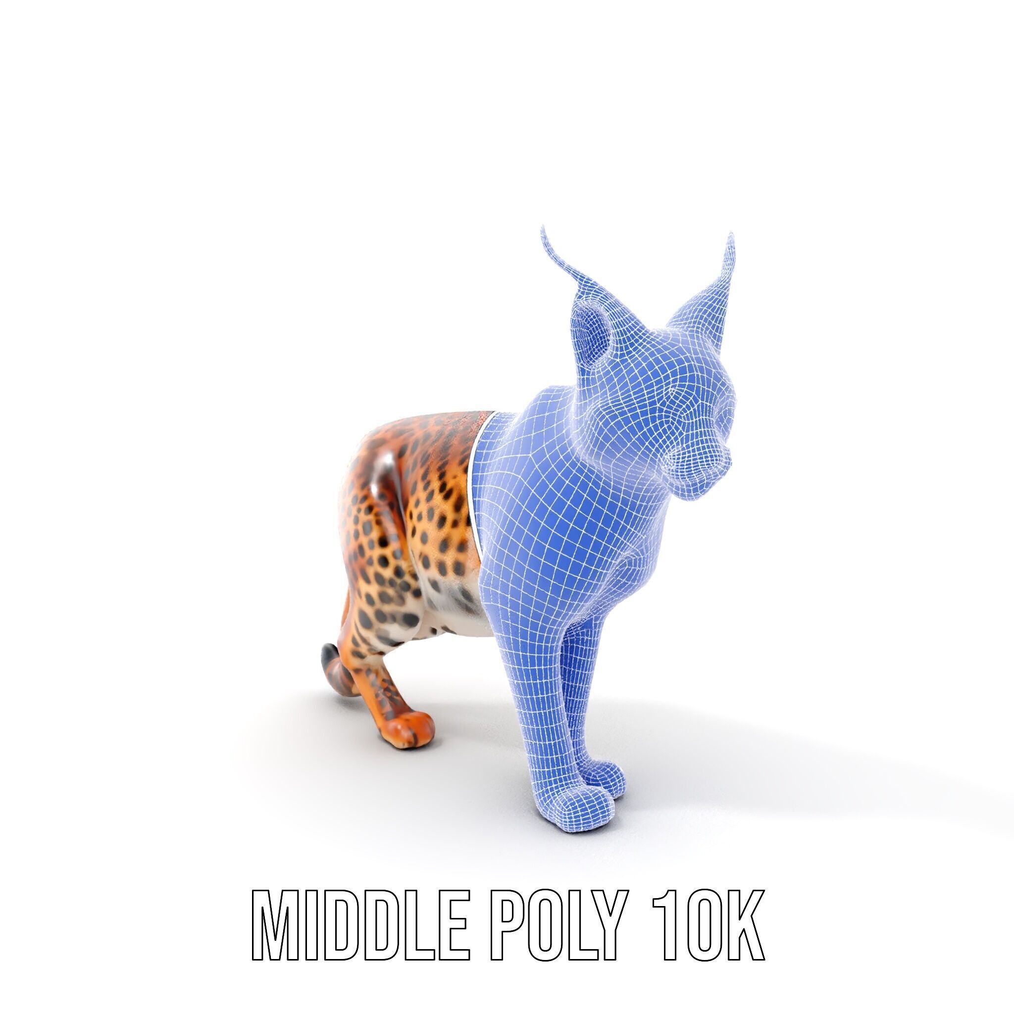 Realistic Lynx Model Pack with Detailed Fur Low-poly 3D model_23