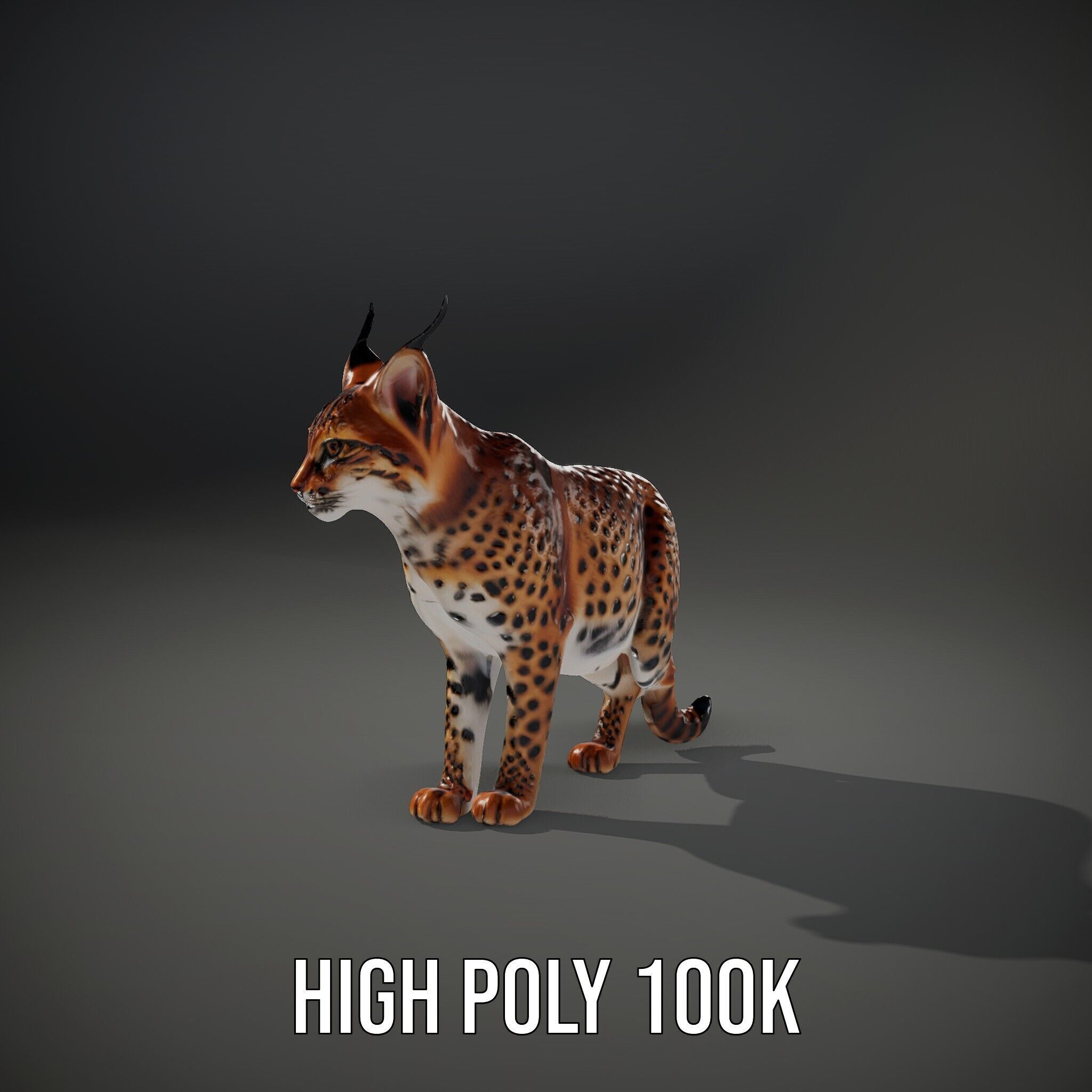 Realistic Lynx Model Pack with Detailed Fur Low-poly 3D model_8