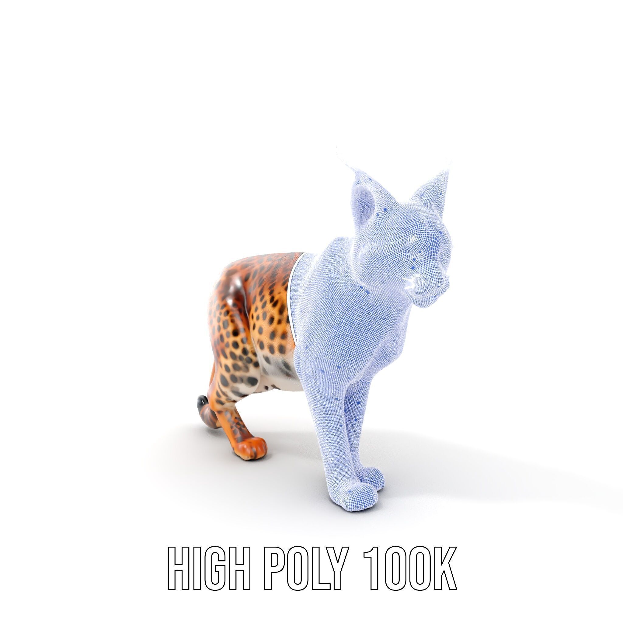 Realistic Lynx Model Pack with Detailed Fur Low-poly 3D model_4