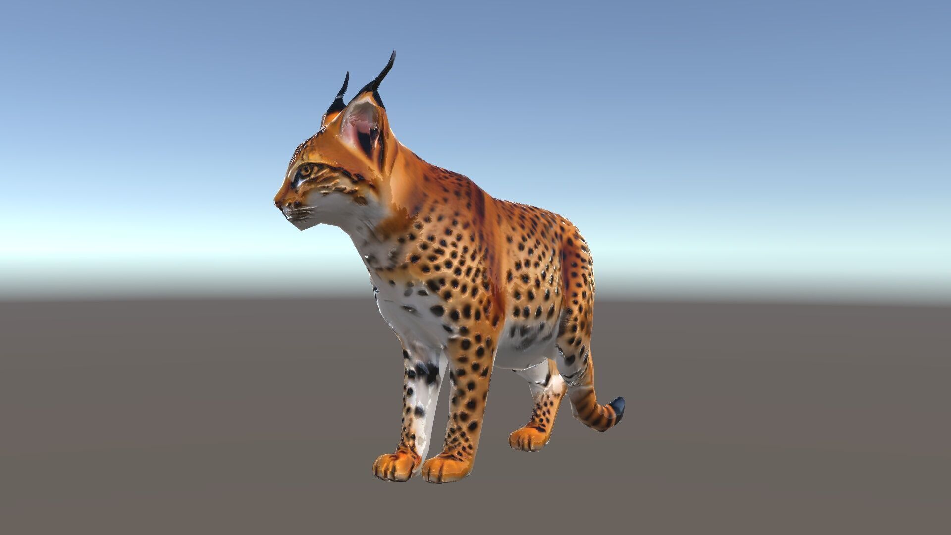 Realistic Lynx Model Pack with Detailed Fur Low-poly 3D model_34