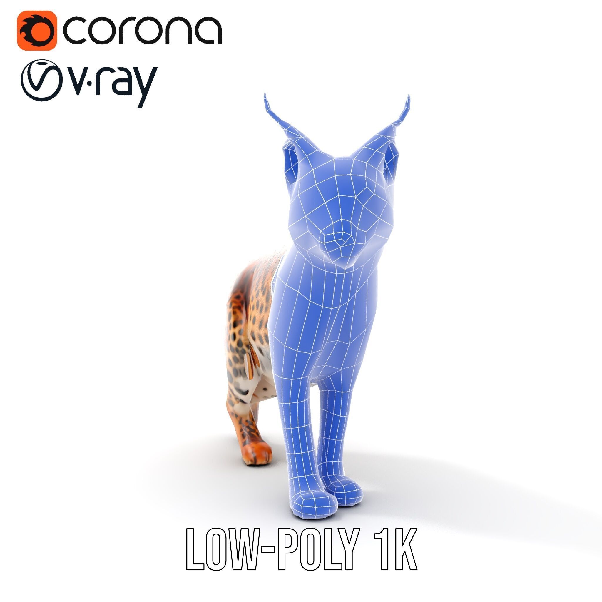 Realistic Lynx Model Pack with Detailed Fur Low-poly 3D model_13