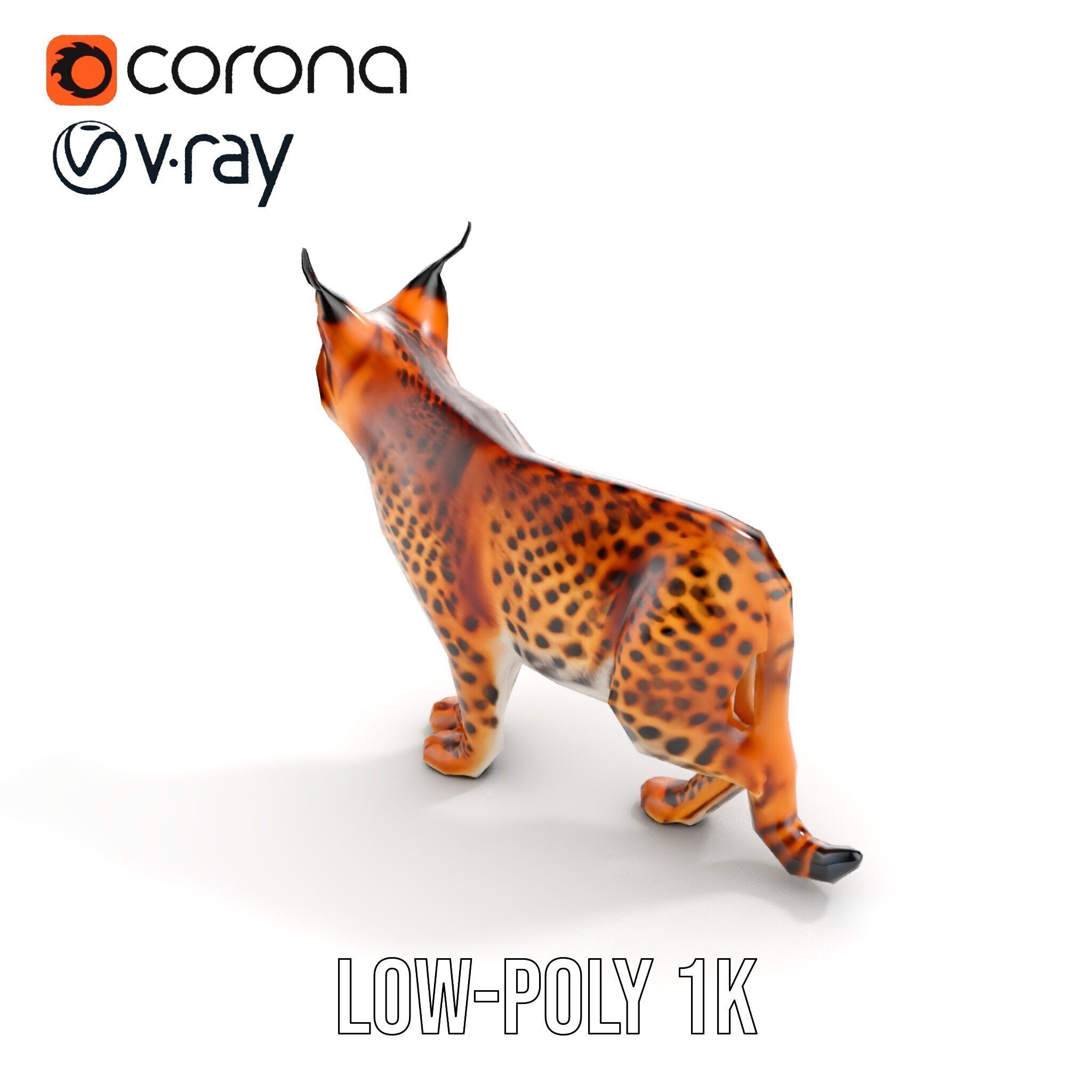 Realistic Lynx Model Pack with Detailed Fur Low-poly 3D model_10