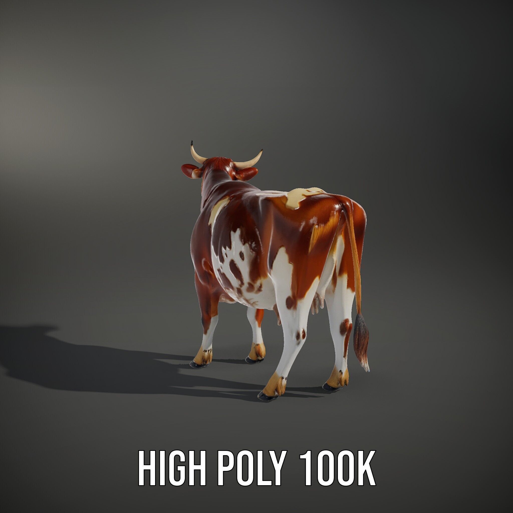 Holstein Cow D Model Pack Low-poly 3D model_12