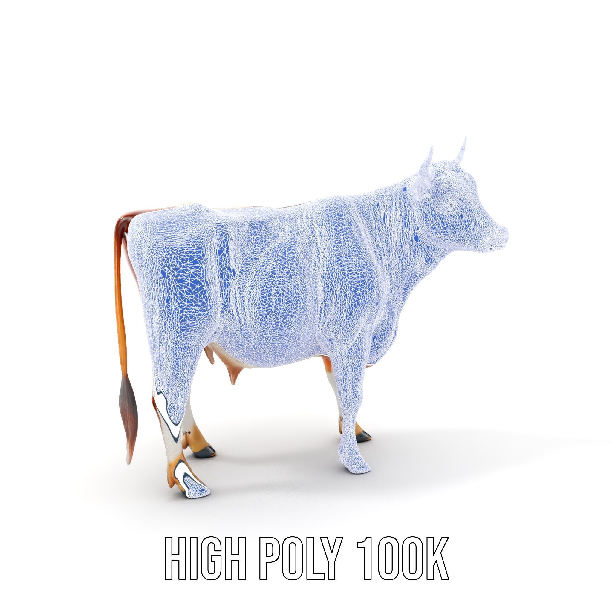 Holstein Cow D Model Pack Low-poly 3D model_18