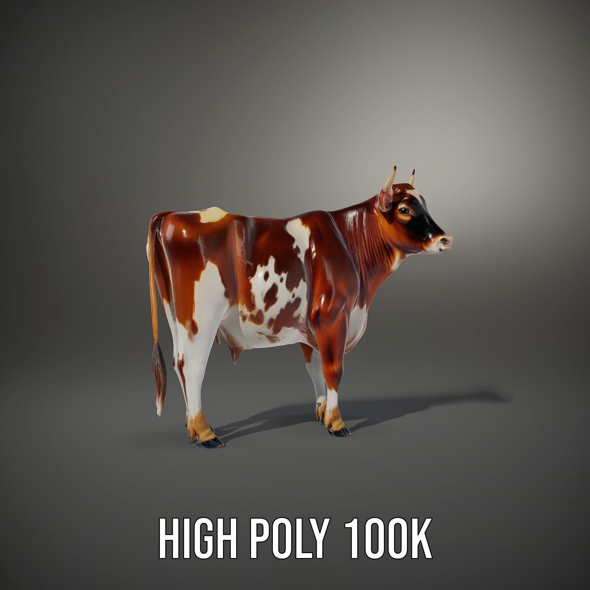Holstein Cow D Model Pack Low-poly 3D model_15
