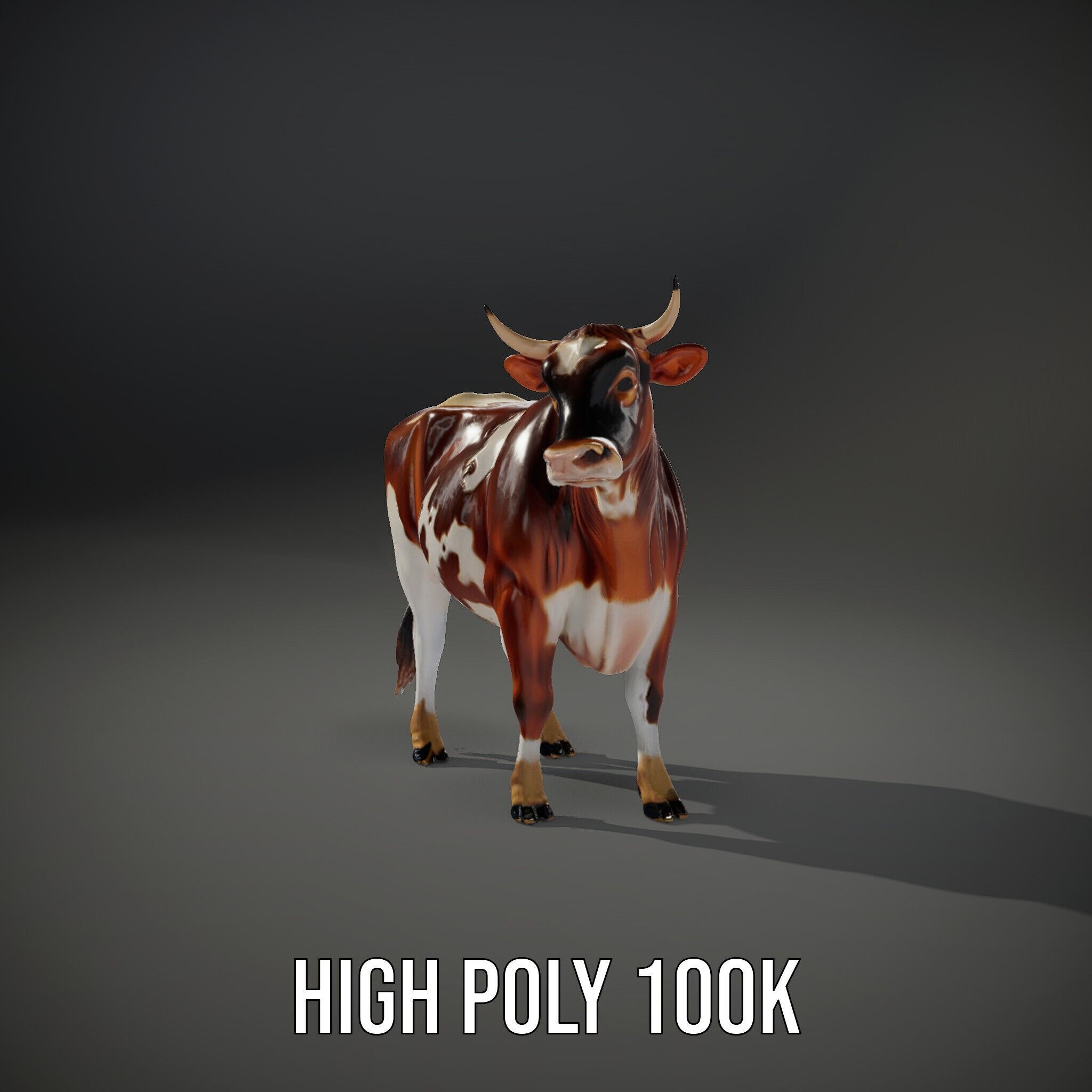 Holstein Cow D Model Pack Low-poly 3D model_9