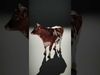 Holstein Cow D Model Pack Low-poly 3D model_2
