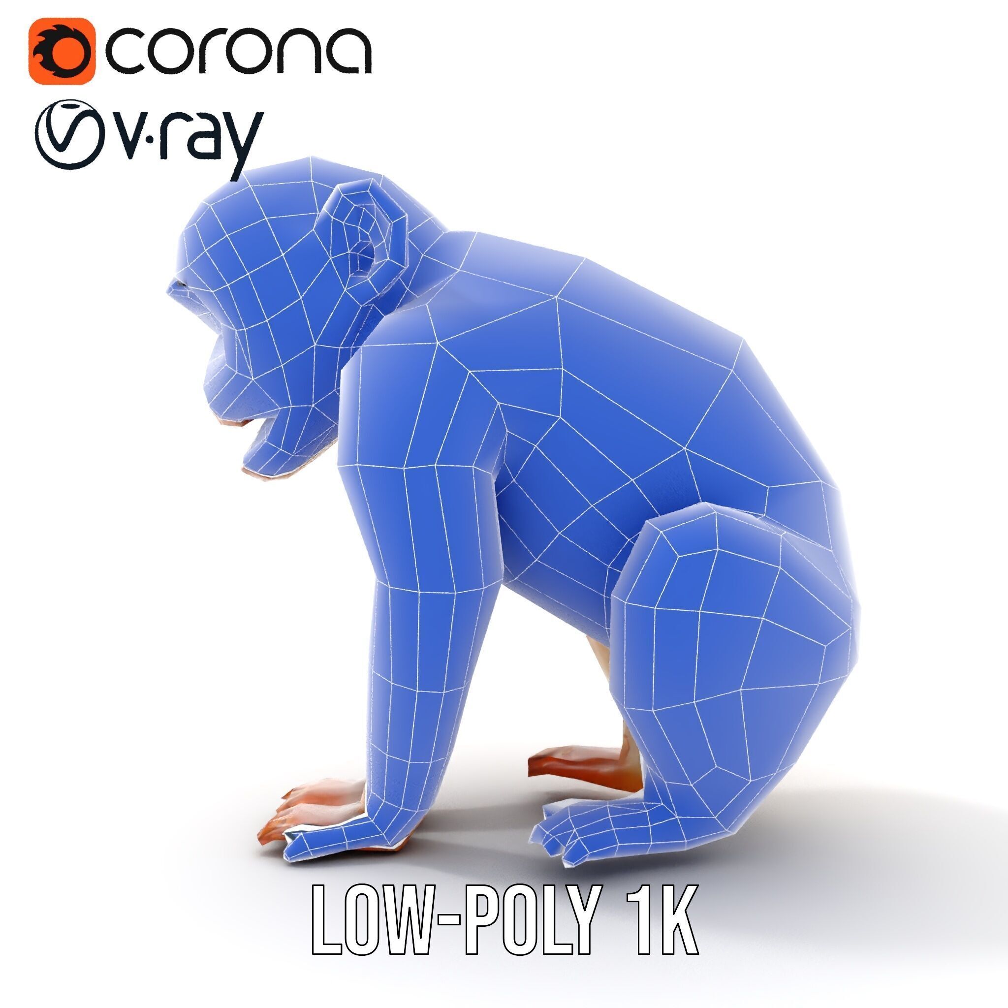 Baby Monkey D Model Pack  Realistic and Detailed Low-poly 3D model_32