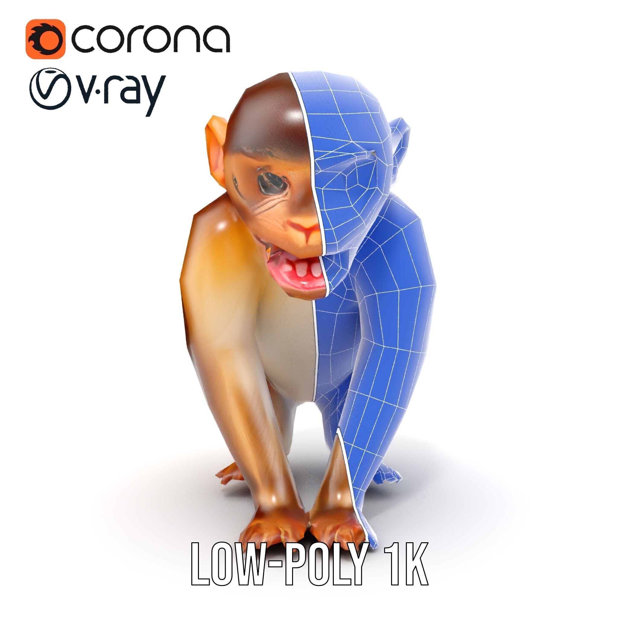 Baby Monkey D Model Pack  Realistic and Detailed Low-poly 3D model_23