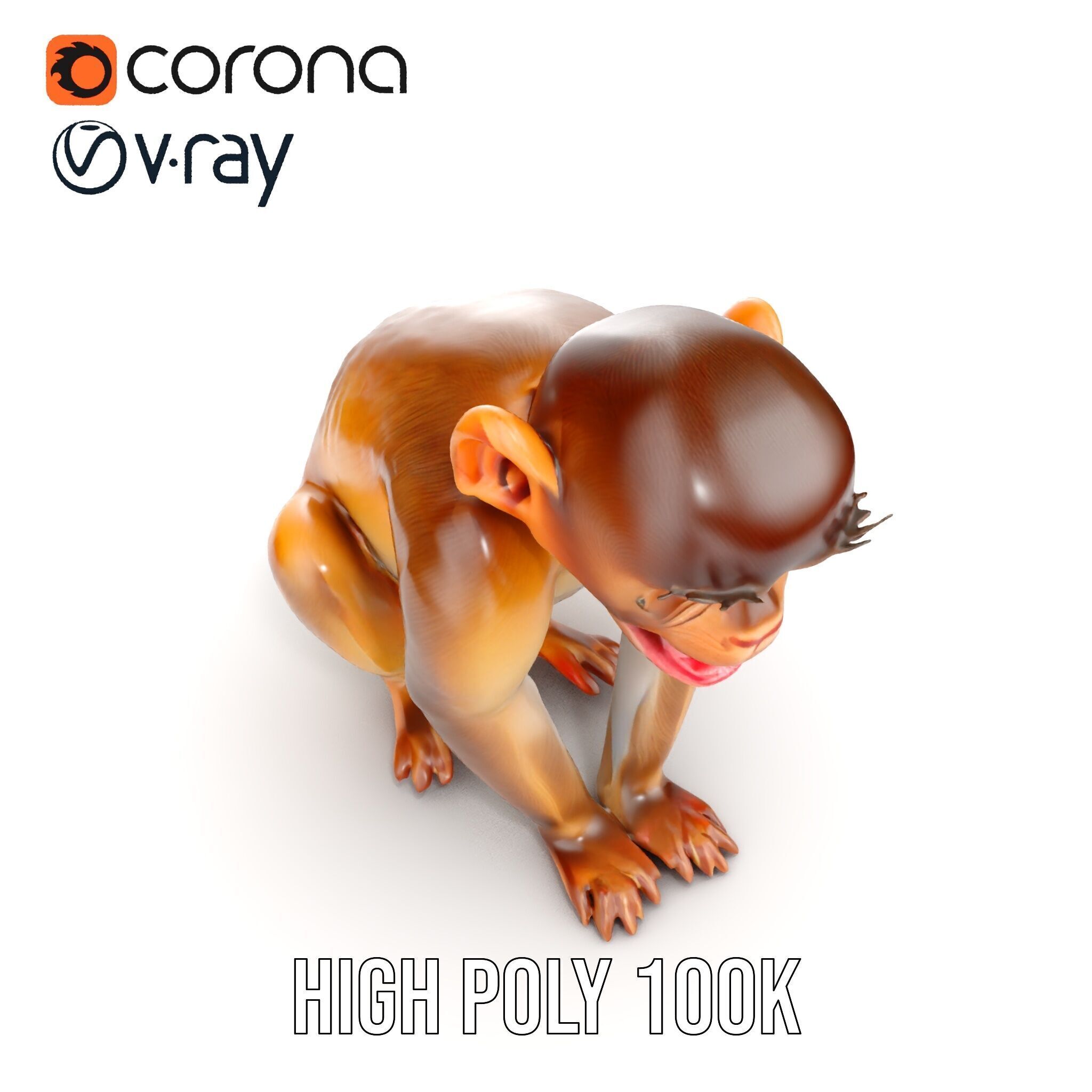 Baby Monkey D Model Pack  Realistic and Detailed Low-poly 3D model_21