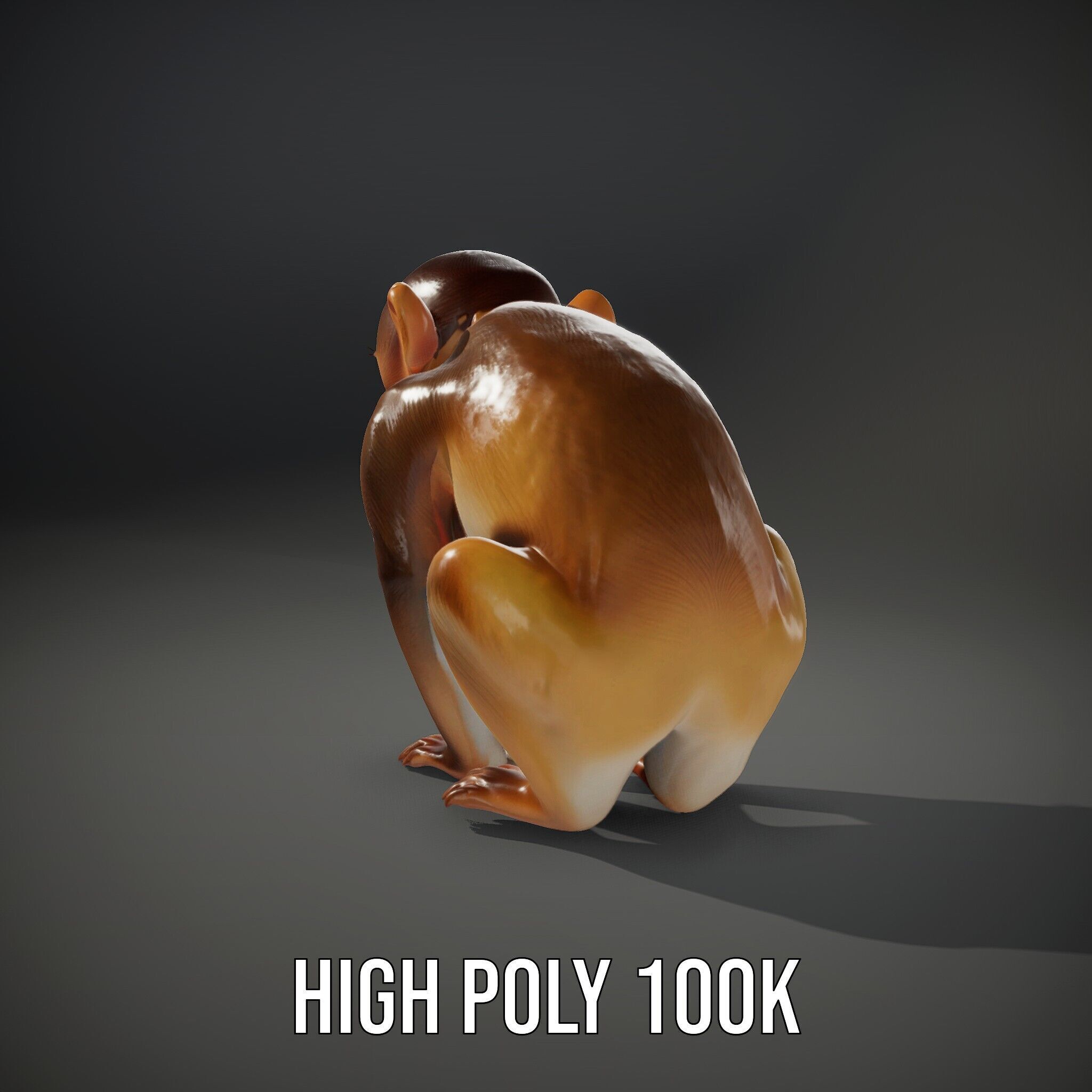 Baby Monkey D Model Pack  Realistic and Detailed Low-poly 3D model_11