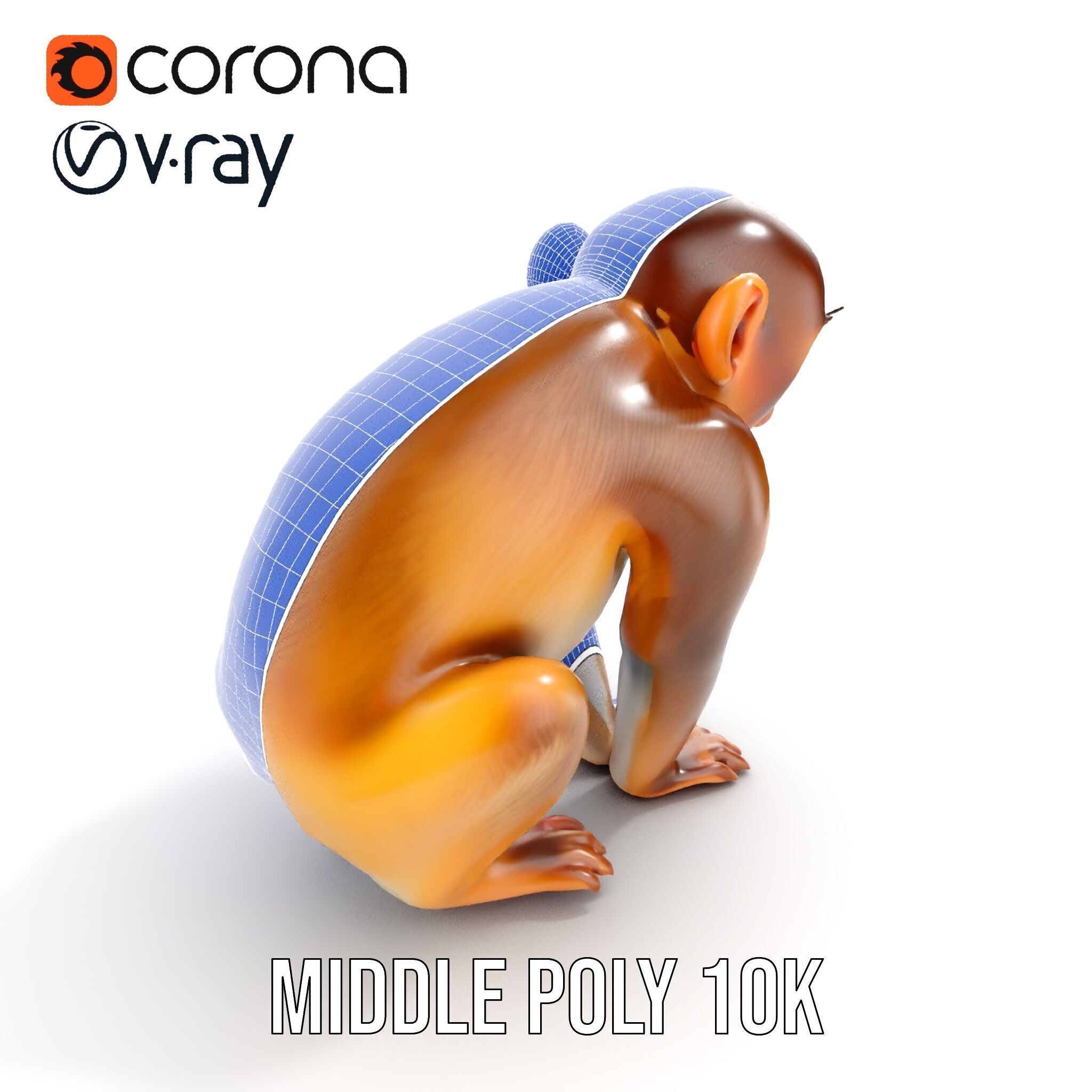 Baby Monkey D Model Pack  Realistic and Detailed Low-poly 3D model_17