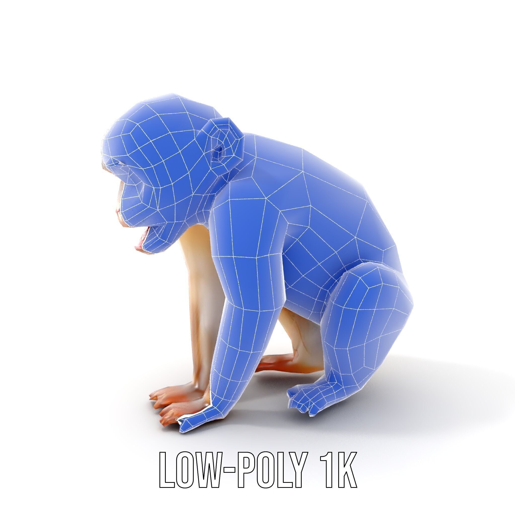 Baby Monkey D Model Pack  Realistic and Detailed Low-poly 3D model_16