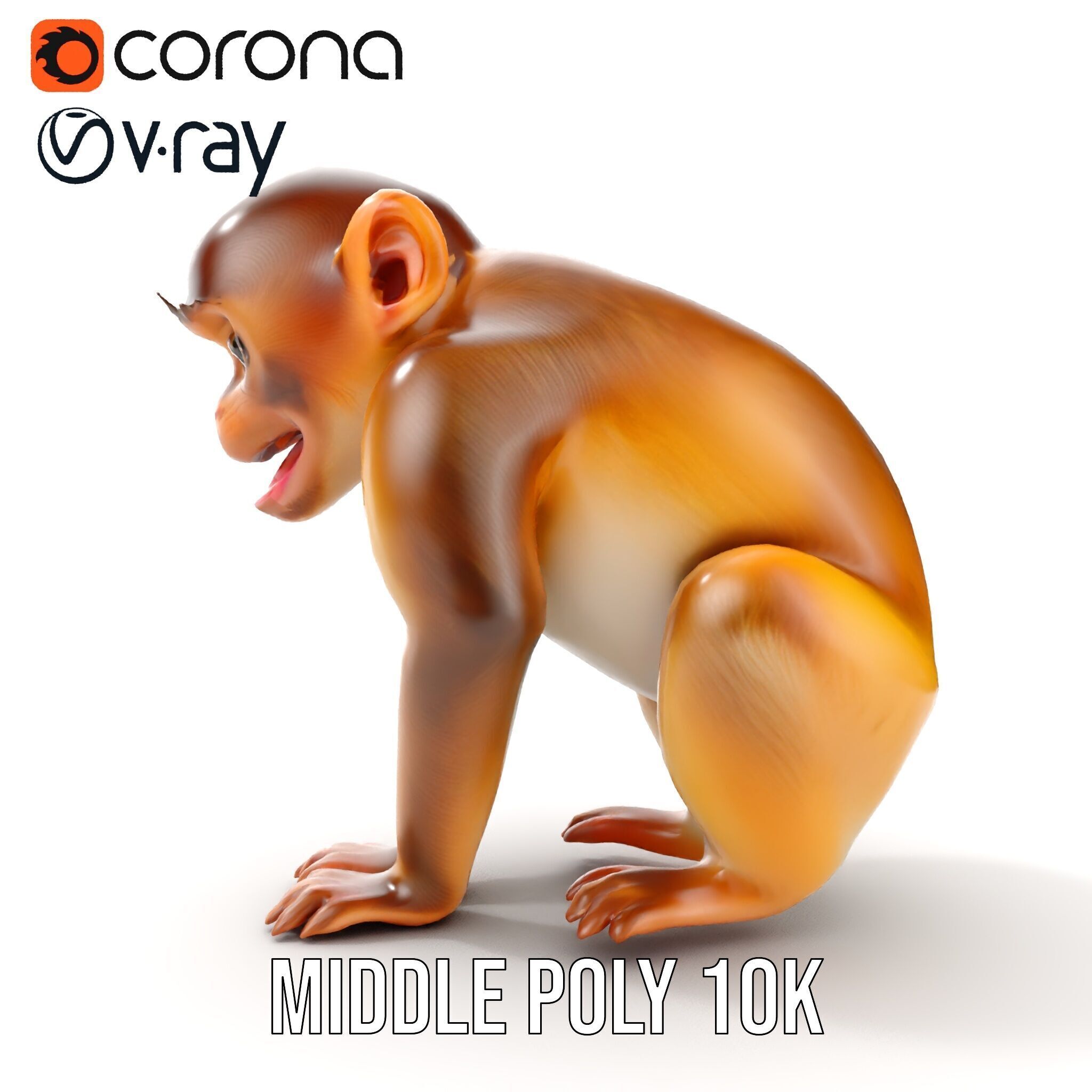Baby Monkey D Model Pack  Realistic and Detailed Low-poly 3D model_19