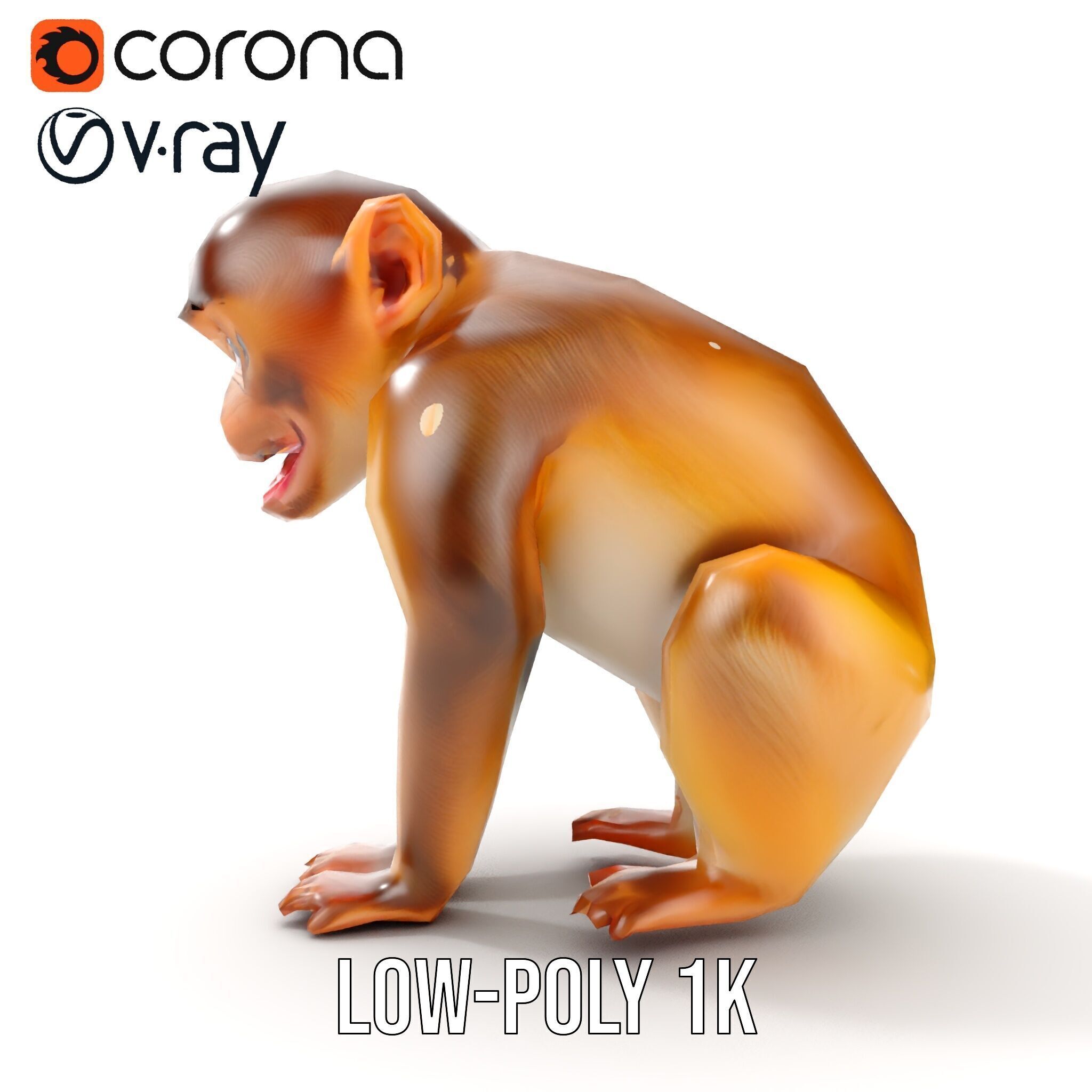 Baby Monkey D Model Pack  Realistic and Detailed Low-poly 3D model_7