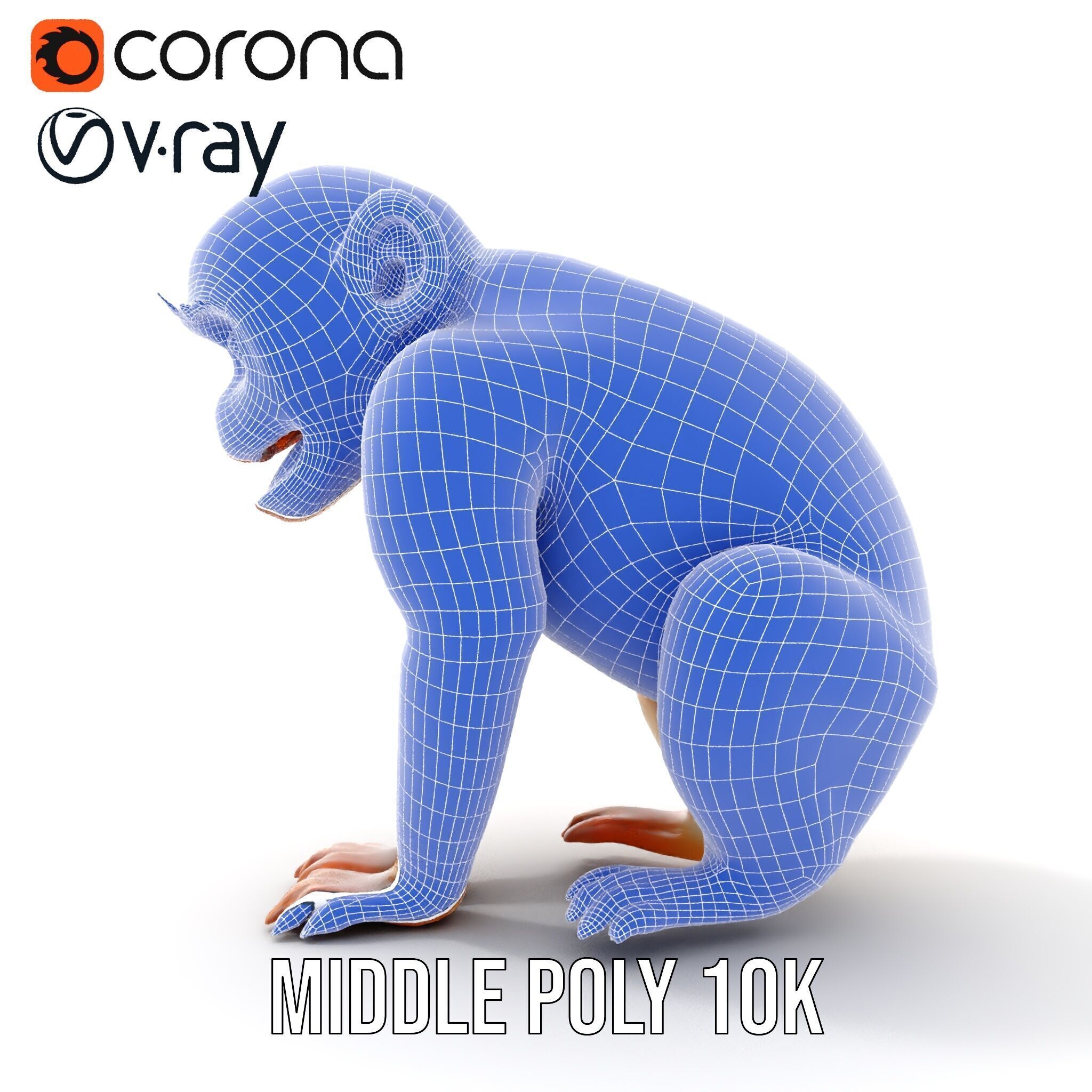 Baby Monkey D Model Pack  Realistic and Detailed Low-poly 3D model_31