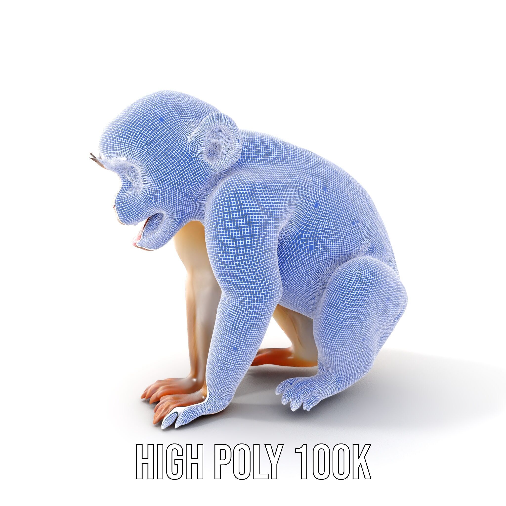 Baby Monkey D Model Pack  Realistic and Detailed Low-poly 3D model_4
