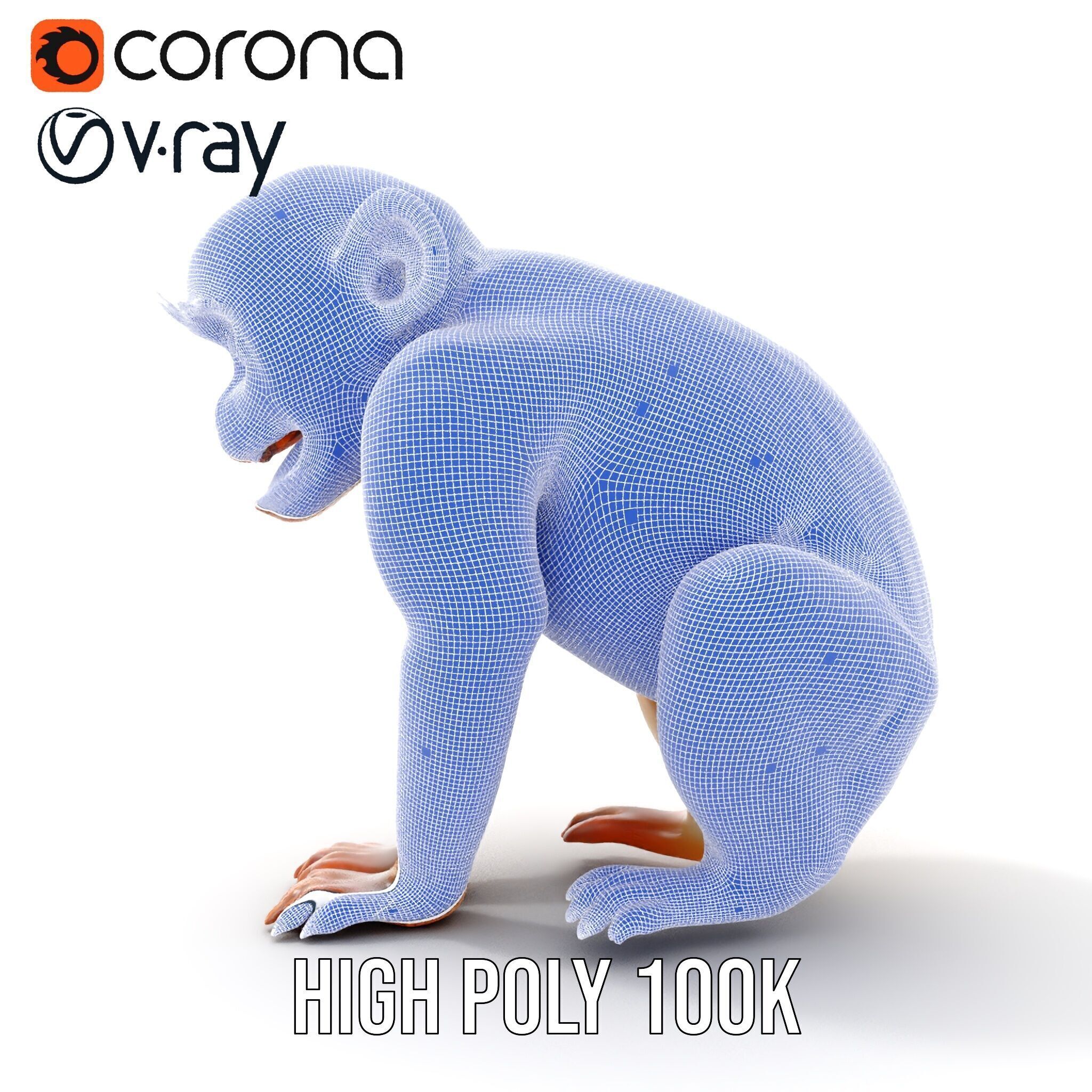 Baby Monkey D Model Pack  Realistic and Detailed Low-poly 3D model_36