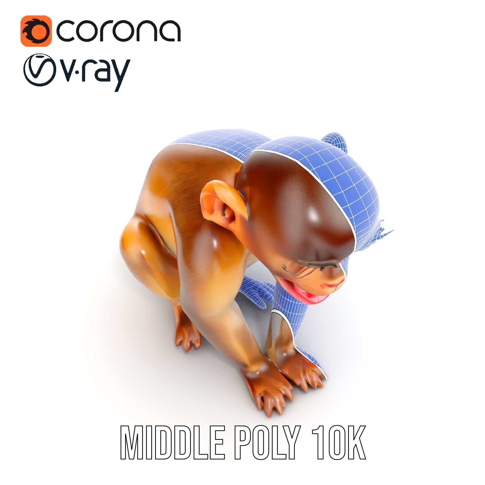 Baby Monkey D Model Pack  Realistic and Detailed Low-poly 3D model_28