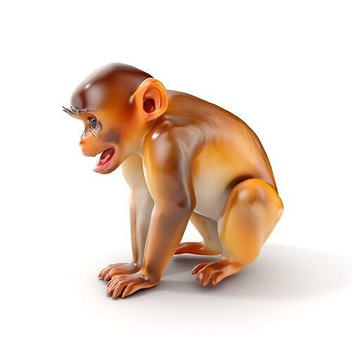 Baby Monkey D Model Pack  Realistic and Detailed Low-poly 3D model
