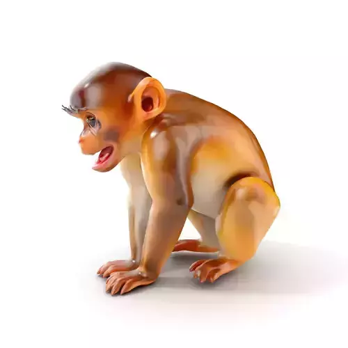Baby Monkey D Model Pack  Realistic and Detailed Low-poly 3D model