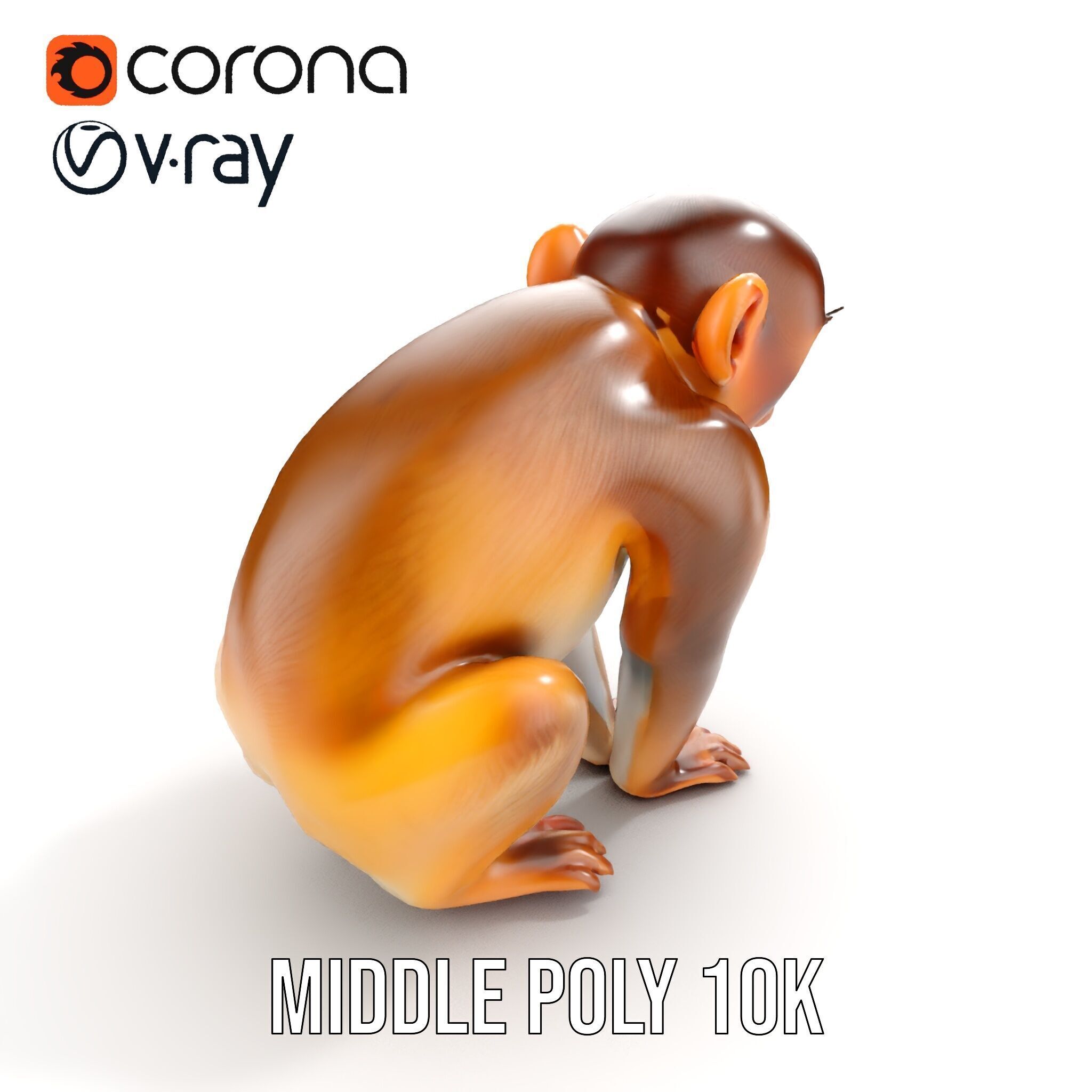 Baby Monkey D Model Pack  Realistic and Detailed Low-poly 3D model_9