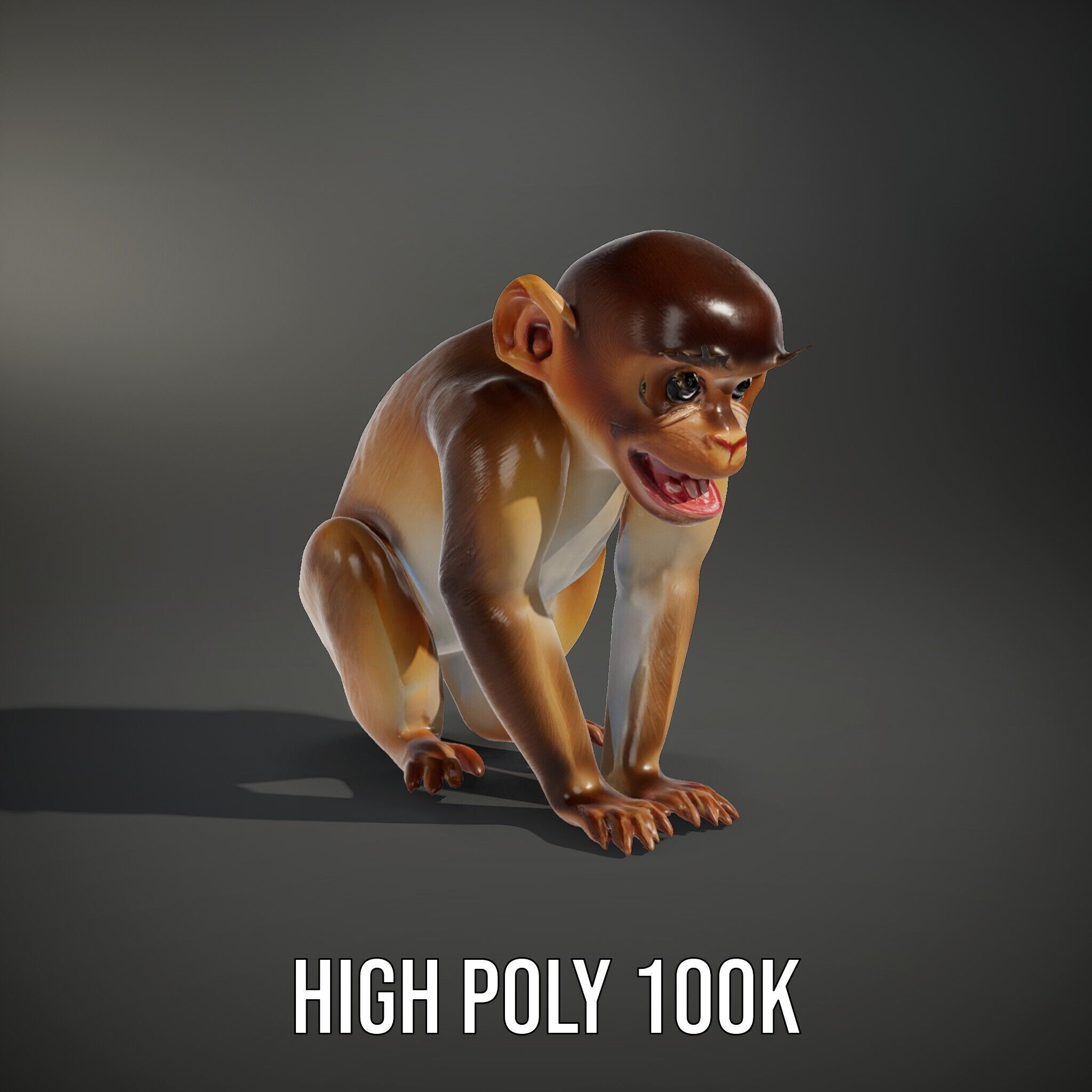 Baby Monkey D Model Pack  Realistic and Detailed Low-poly 3D model_14
