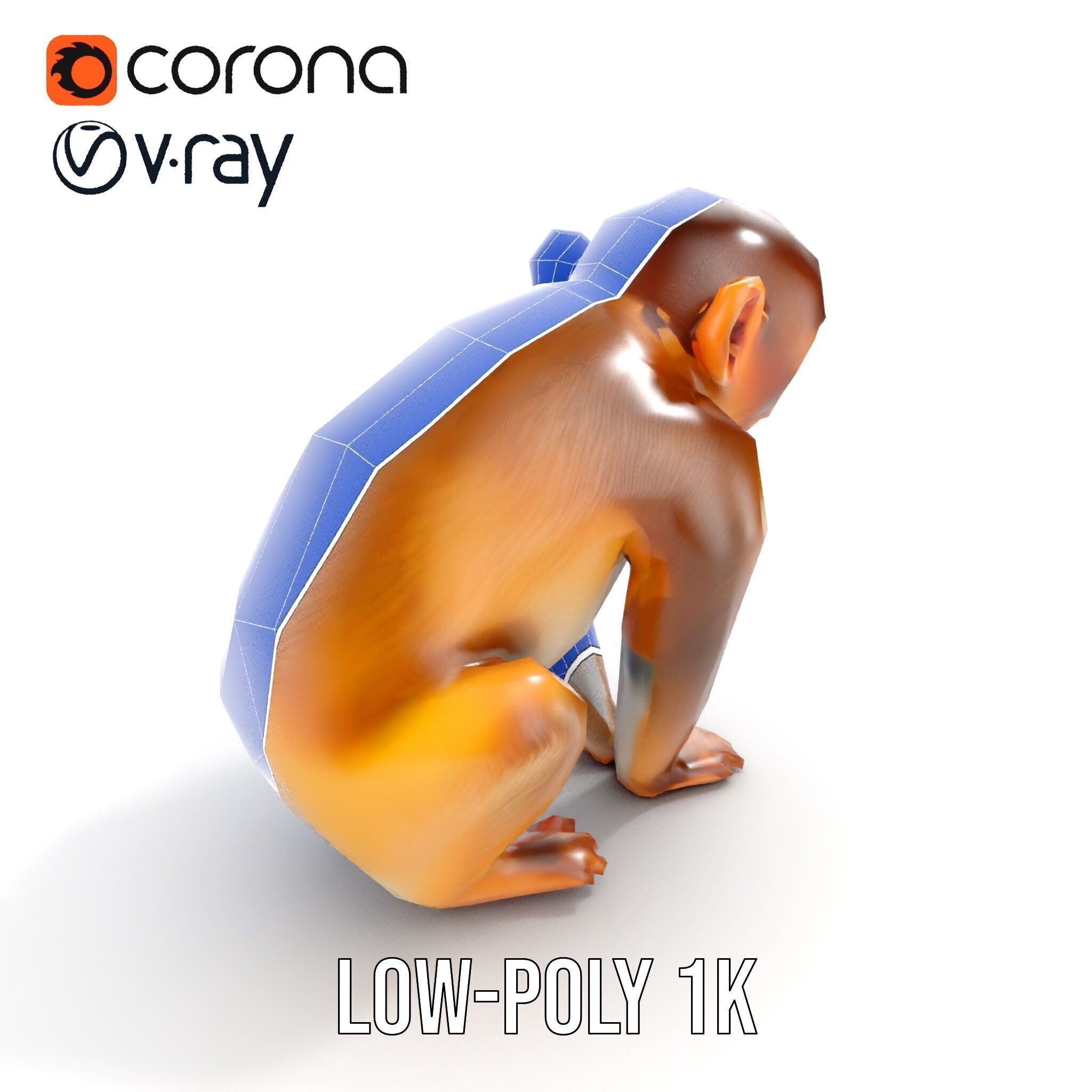 Baby Monkey D Model Pack  Realistic and Detailed Low-poly 3D model_26