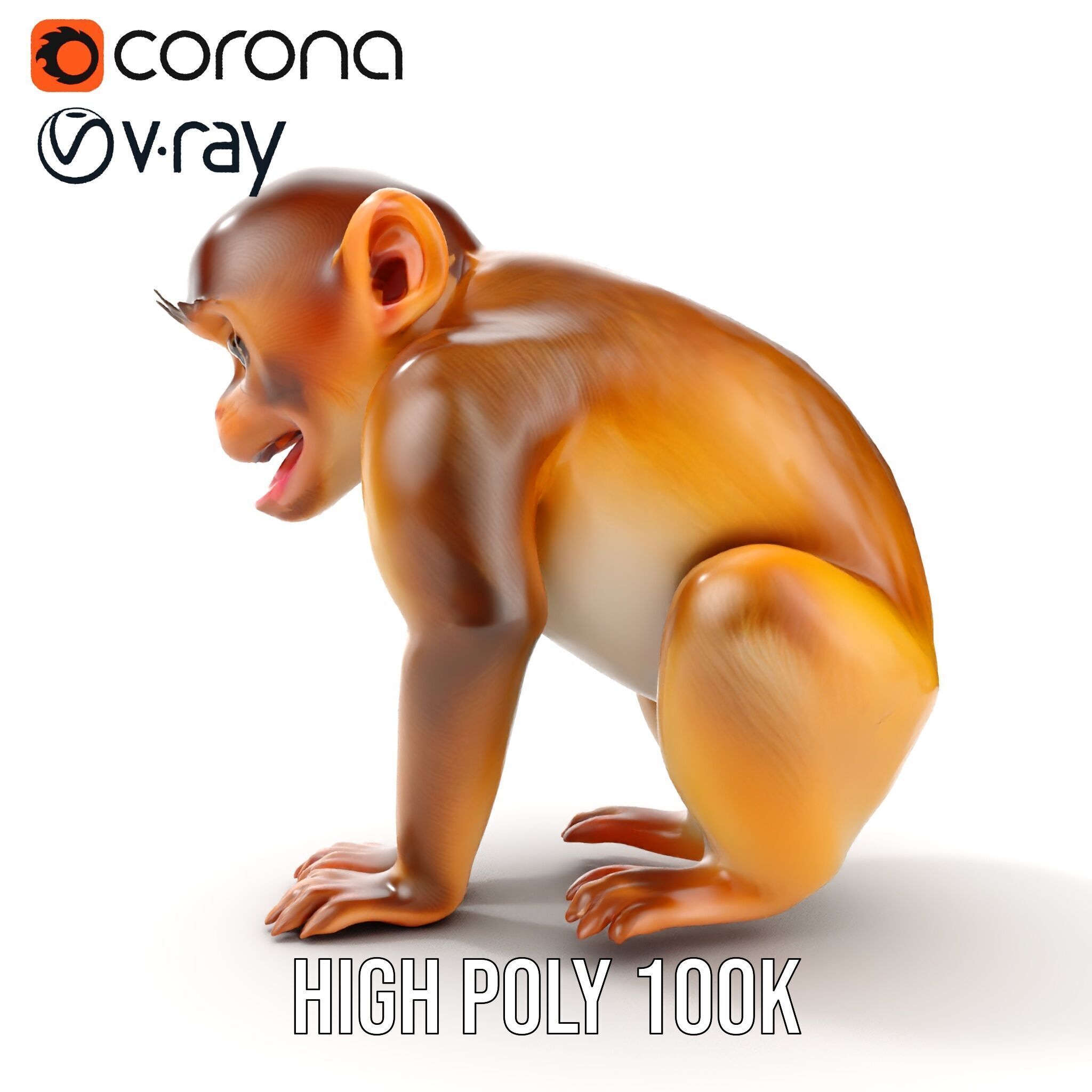 Baby Monkey D Model Pack  Realistic and Detailed Low-poly 3D model_24