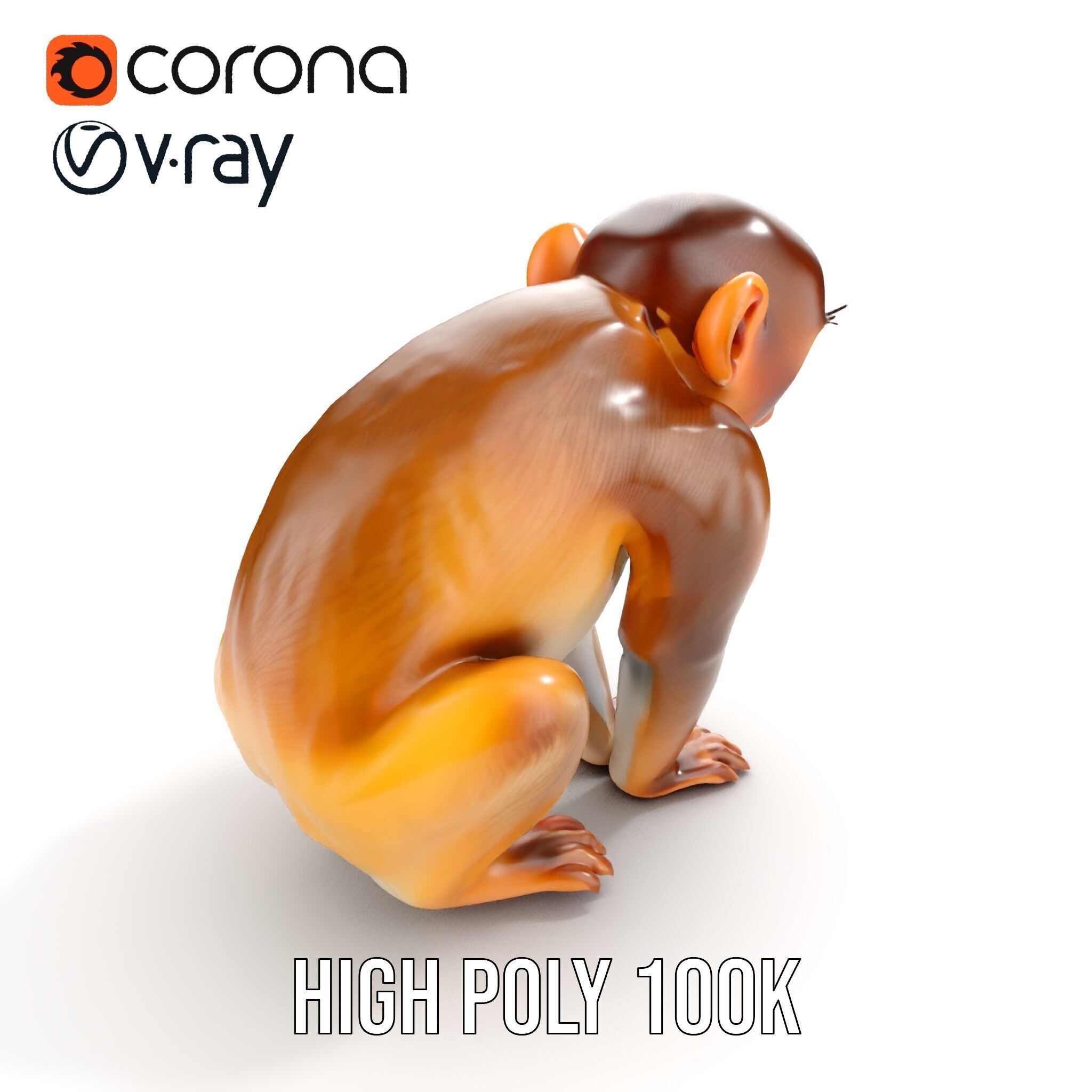 Baby Monkey D Model Pack  Realistic and Detailed Low-poly 3D model_27