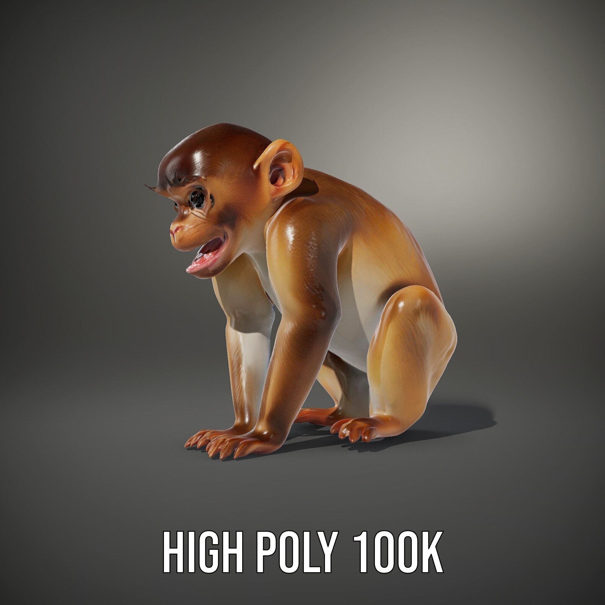 Baby Monkey D Model Pack  Realistic and Detailed Low-poly 3D model_8