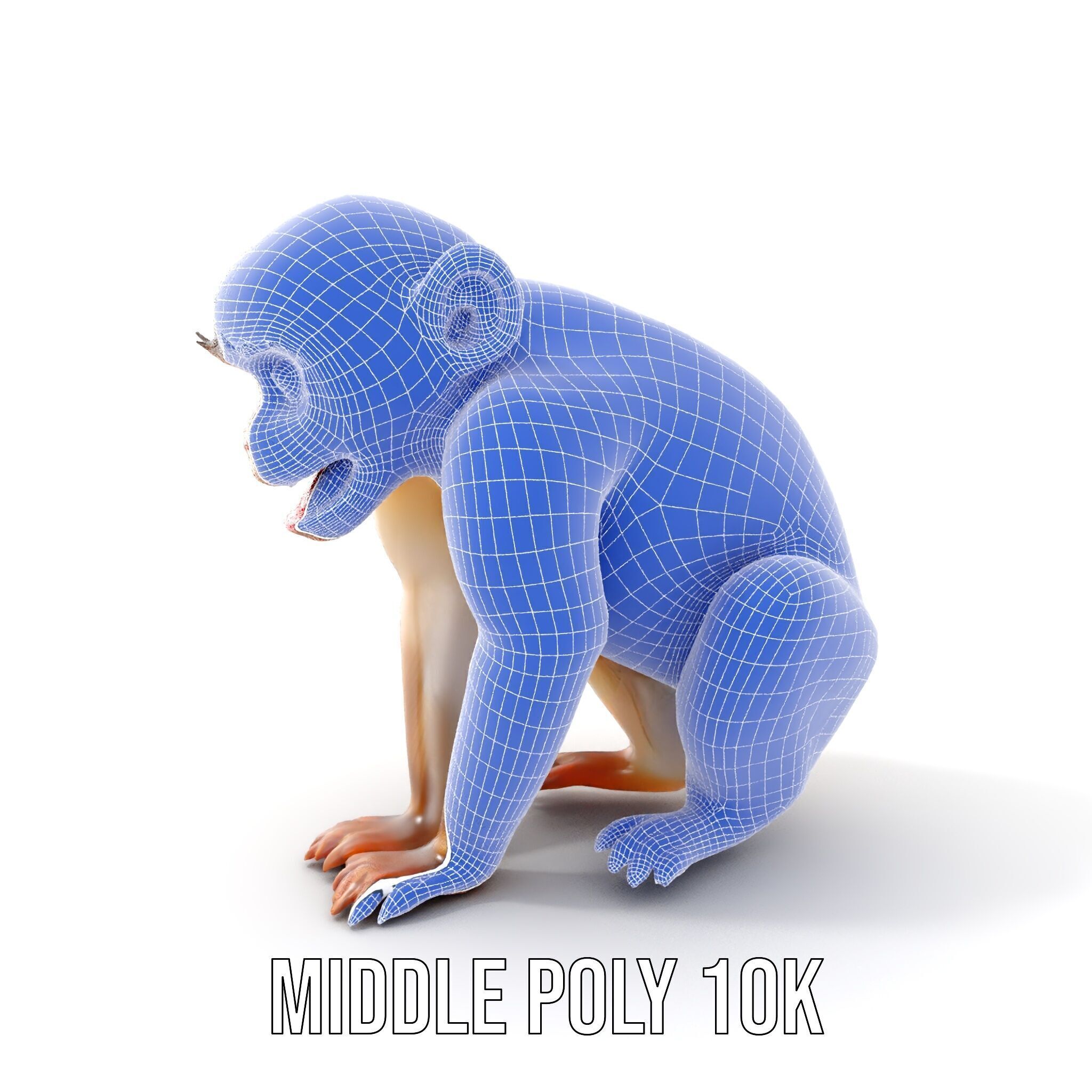 Baby Monkey D Model Pack  Realistic and Detailed Low-poly 3D model_6