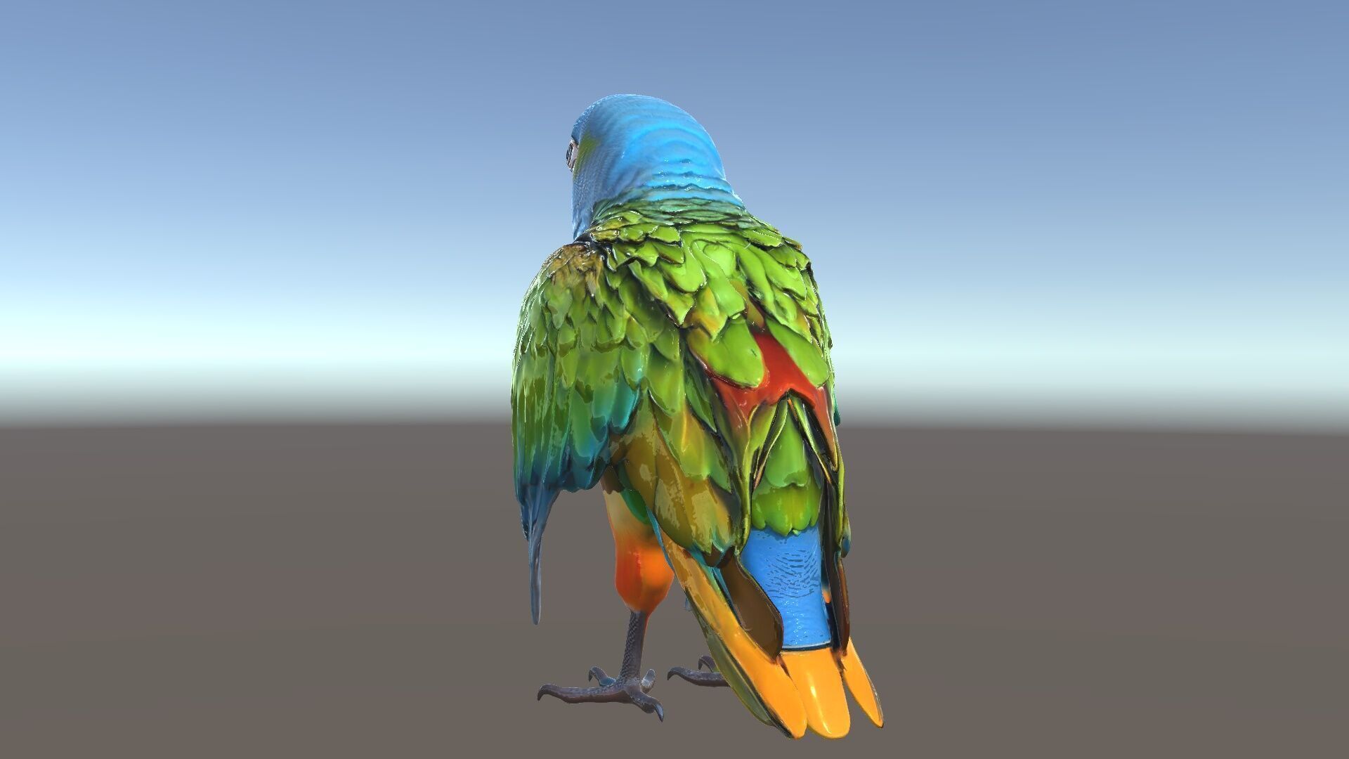 Colorful Macaw Parrot D Model Pack Low-poly 3D model_5