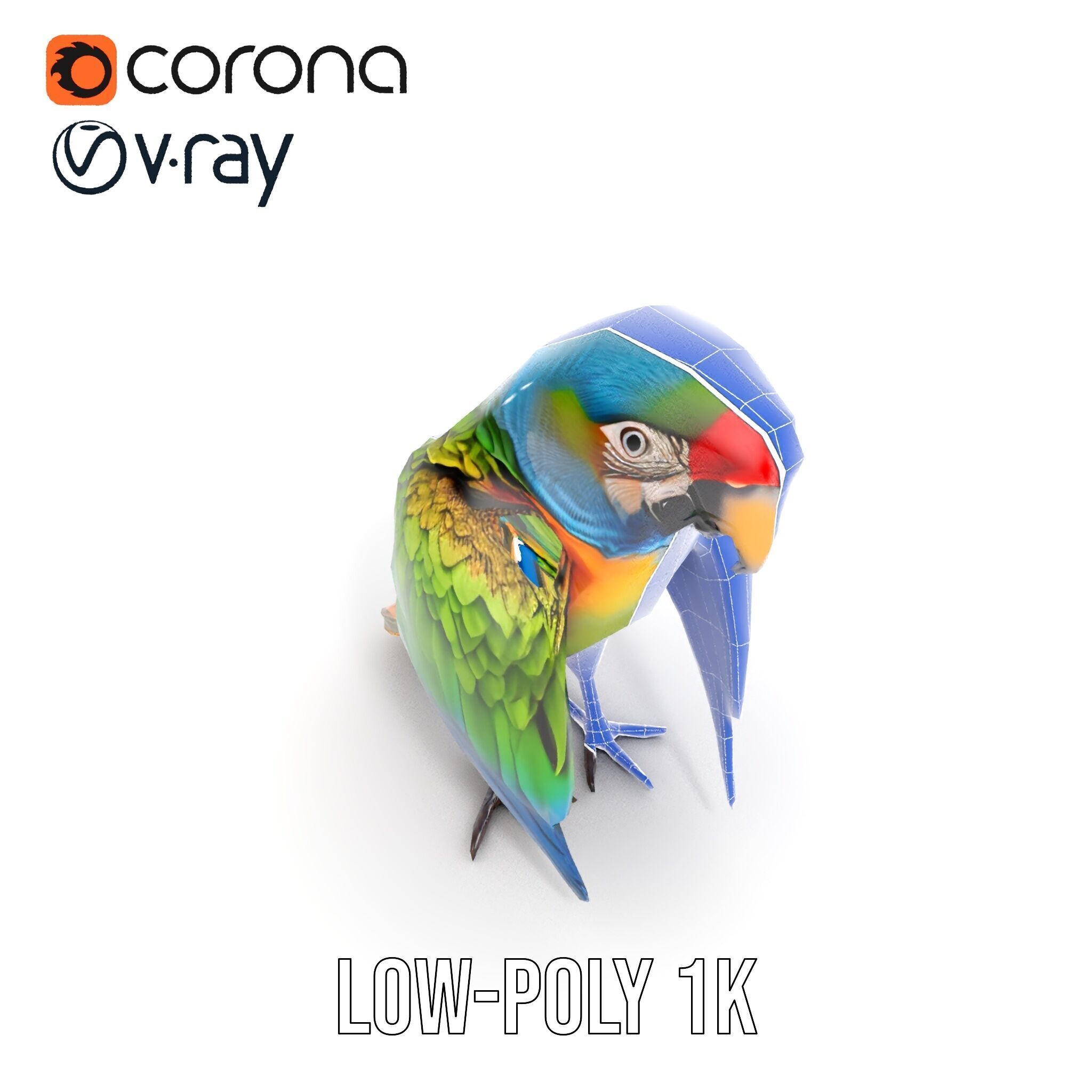 Colorful Macaw Parrot D Model Pack Low-poly 3D model_31