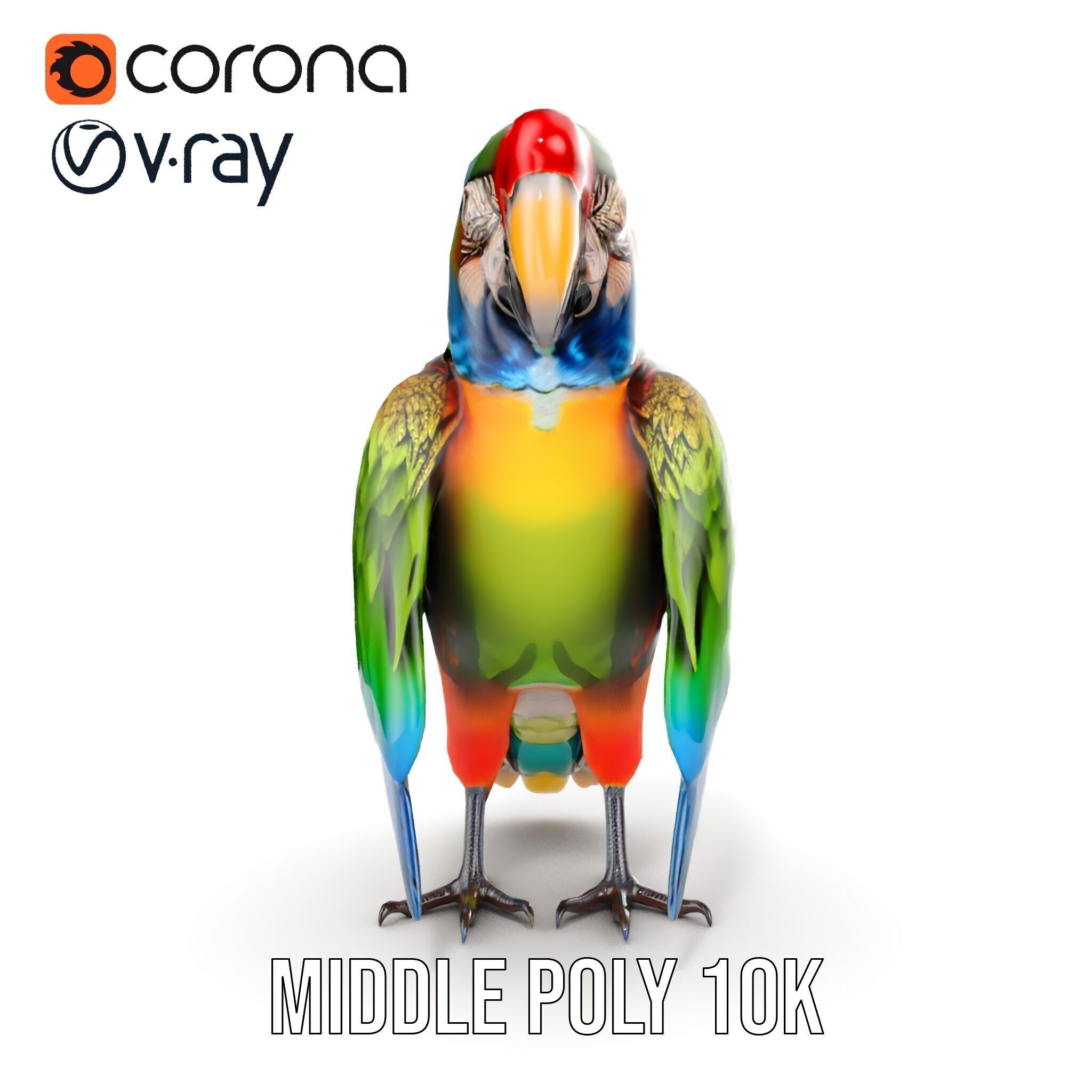 Colorful Macaw Parrot D Model Pack Low-poly 3D model_17