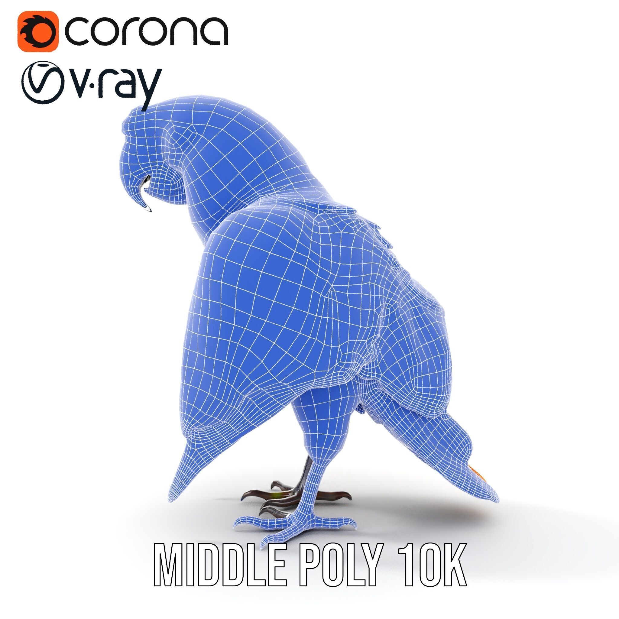 Colorful Macaw Parrot D Model Pack Low-poly 3D model_28
