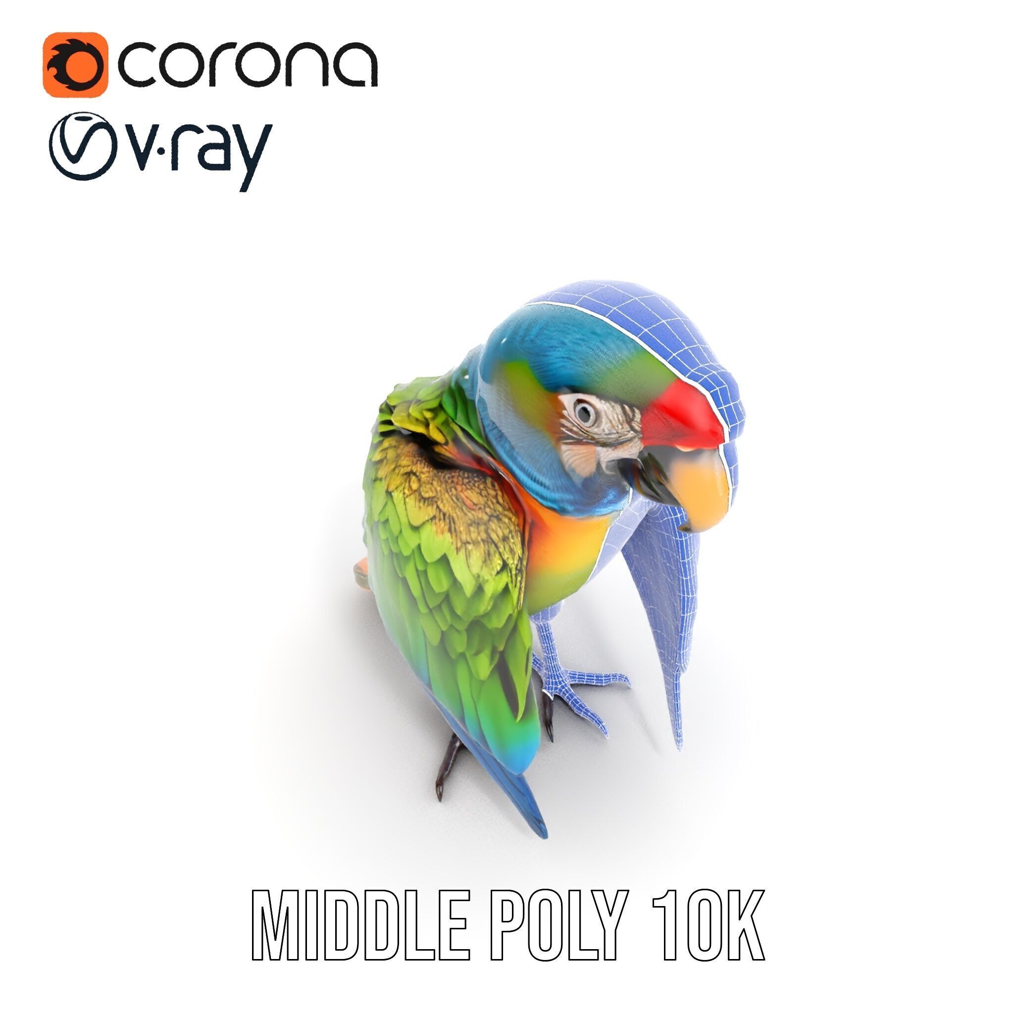 Colorful Macaw Parrot D Model Pack Low-poly 3D model_30