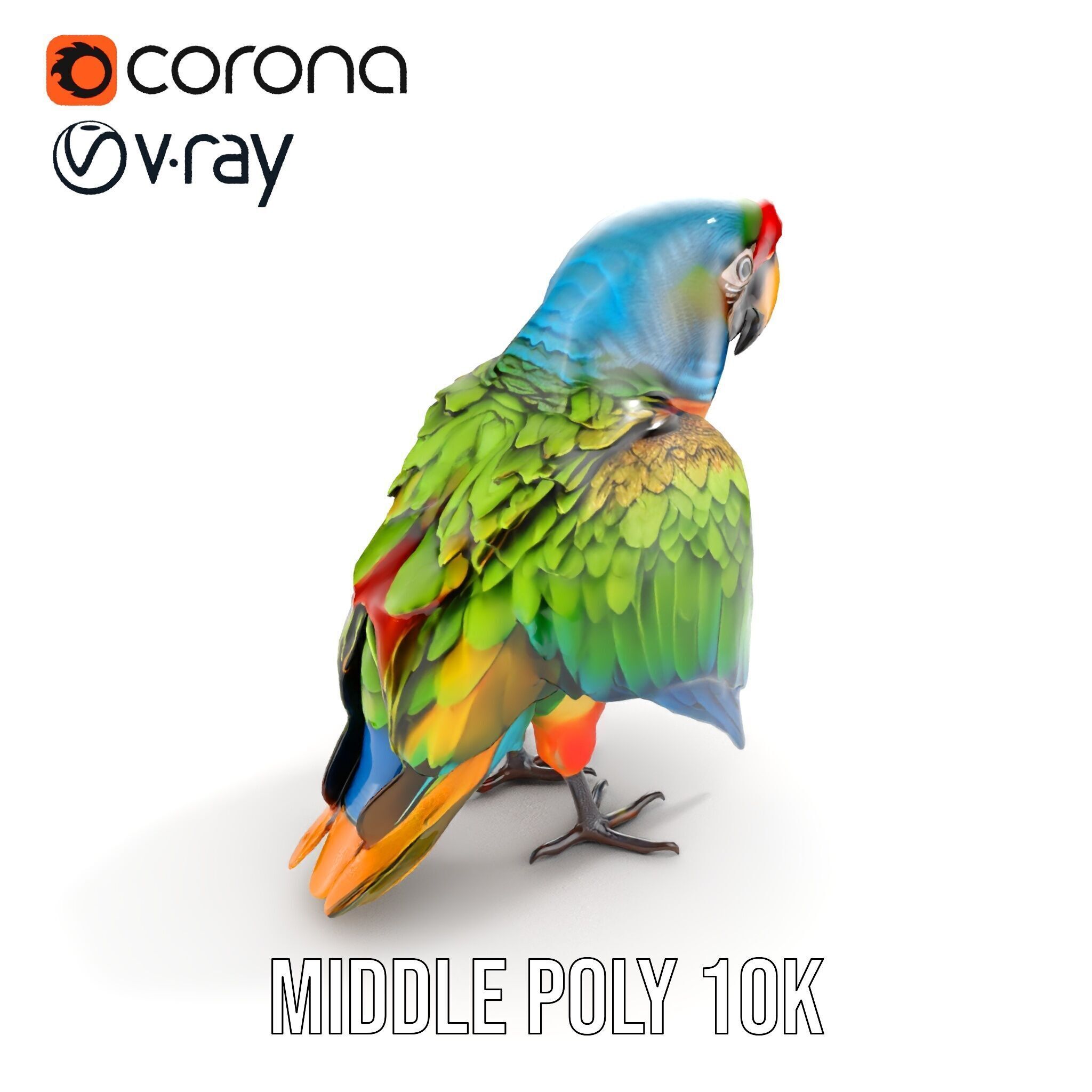 Colorful Macaw Parrot D Model Pack Low-poly 3D model_20