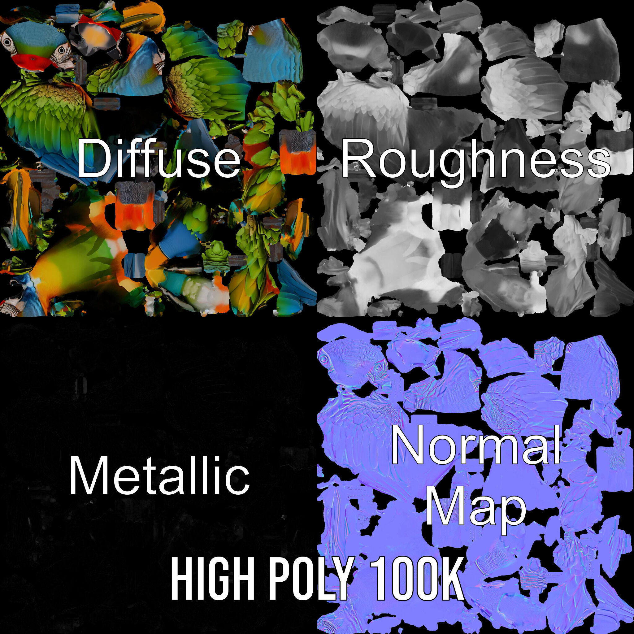 Colorful Macaw Parrot D Model Pack Low-poly 3D model_3