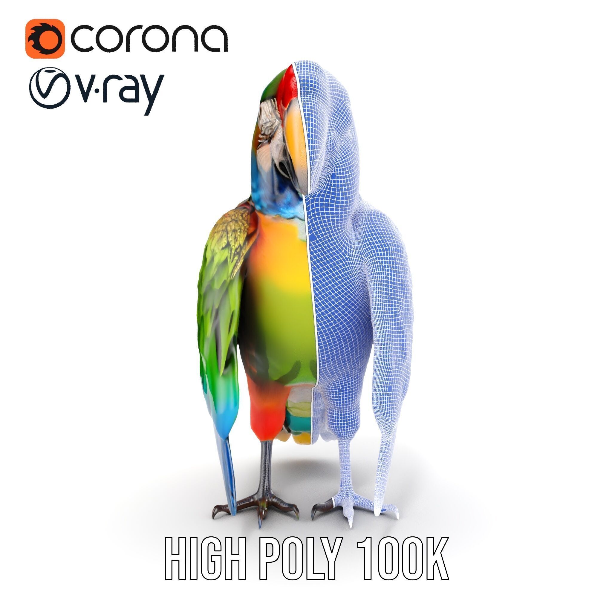 Colorful Macaw Parrot D Model Pack Low-poly 3D model_37