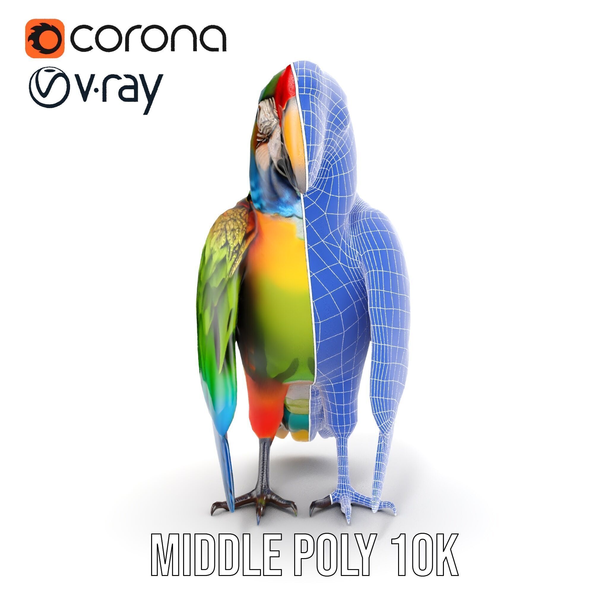 Colorful Macaw Parrot D Model Pack Low-poly 3D model_26