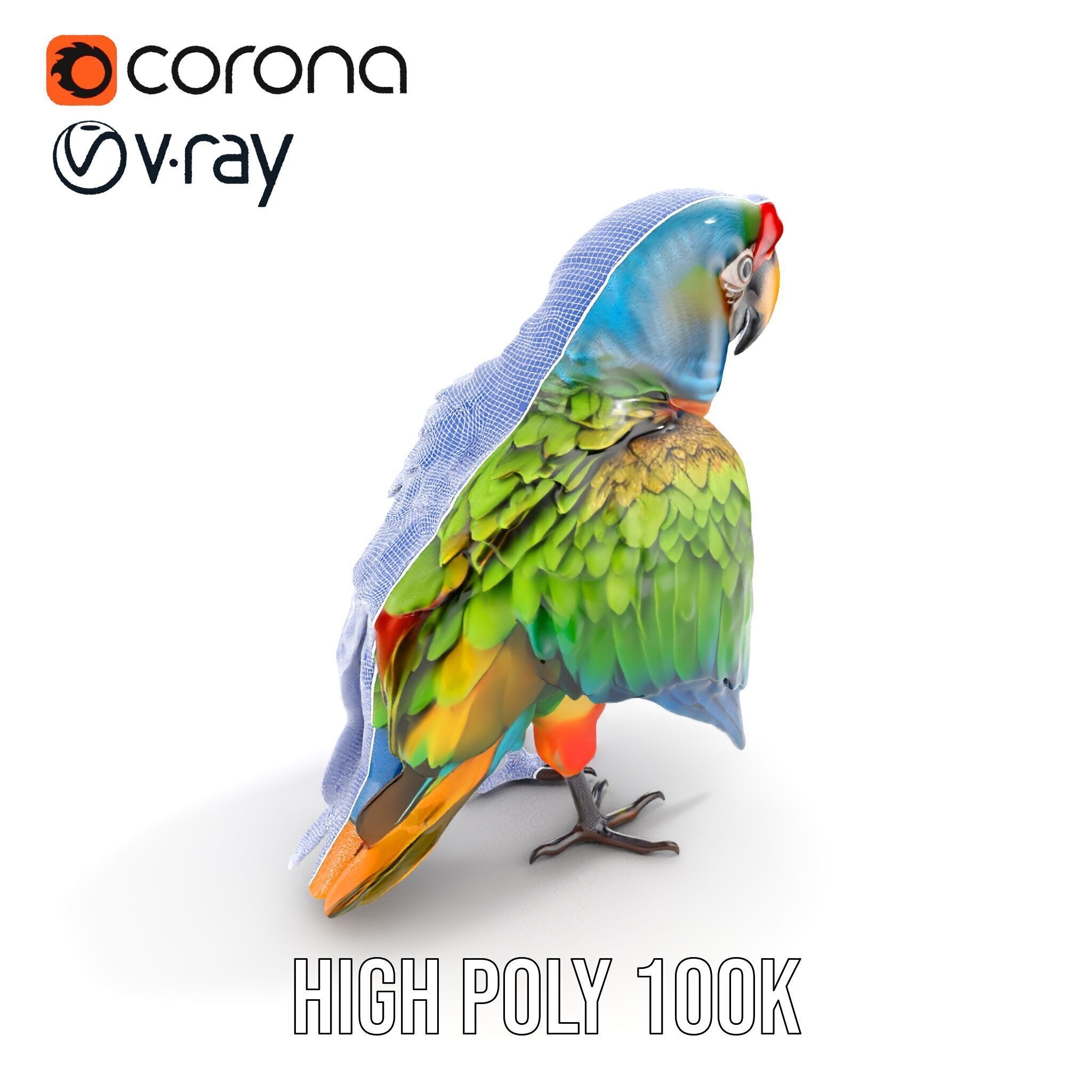 Colorful Macaw Parrot D Model Pack Low-poly 3D model_35