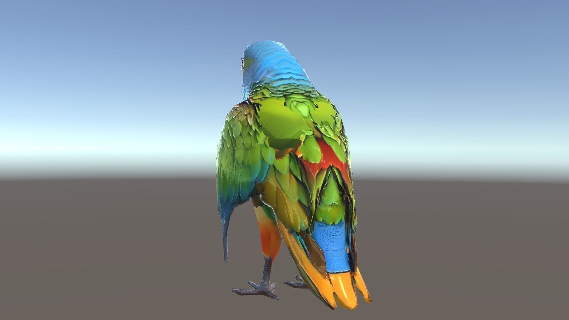 Colorful Macaw Parrot D Model Pack Low-poly 3D model_34
