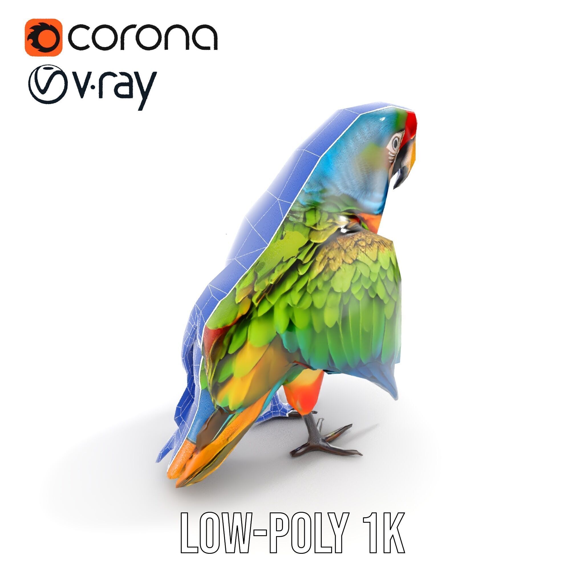 Colorful Macaw Parrot D Model Pack Low-poly 3D model_21