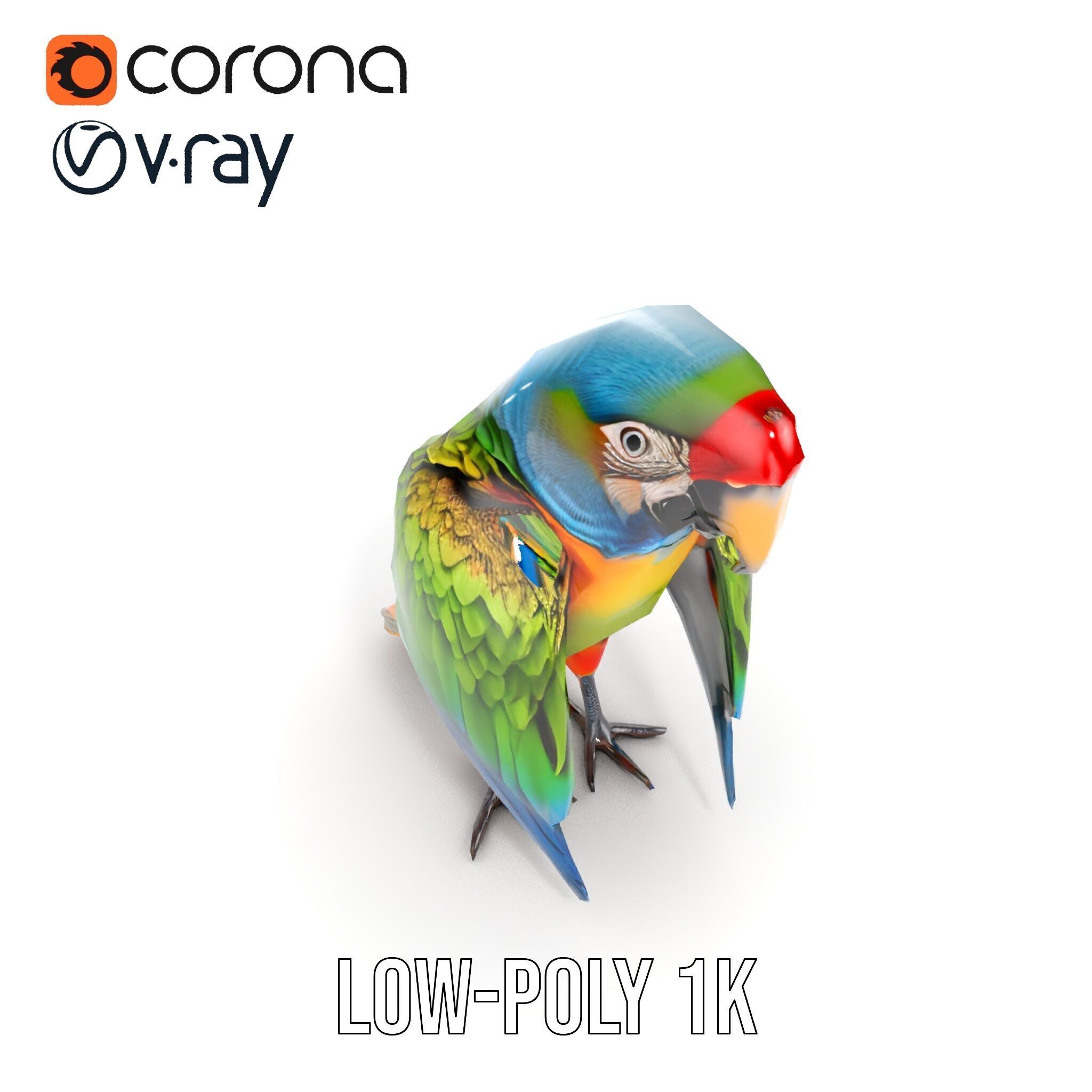 Colorful Macaw Parrot D Model Pack Low-poly 3D model_7